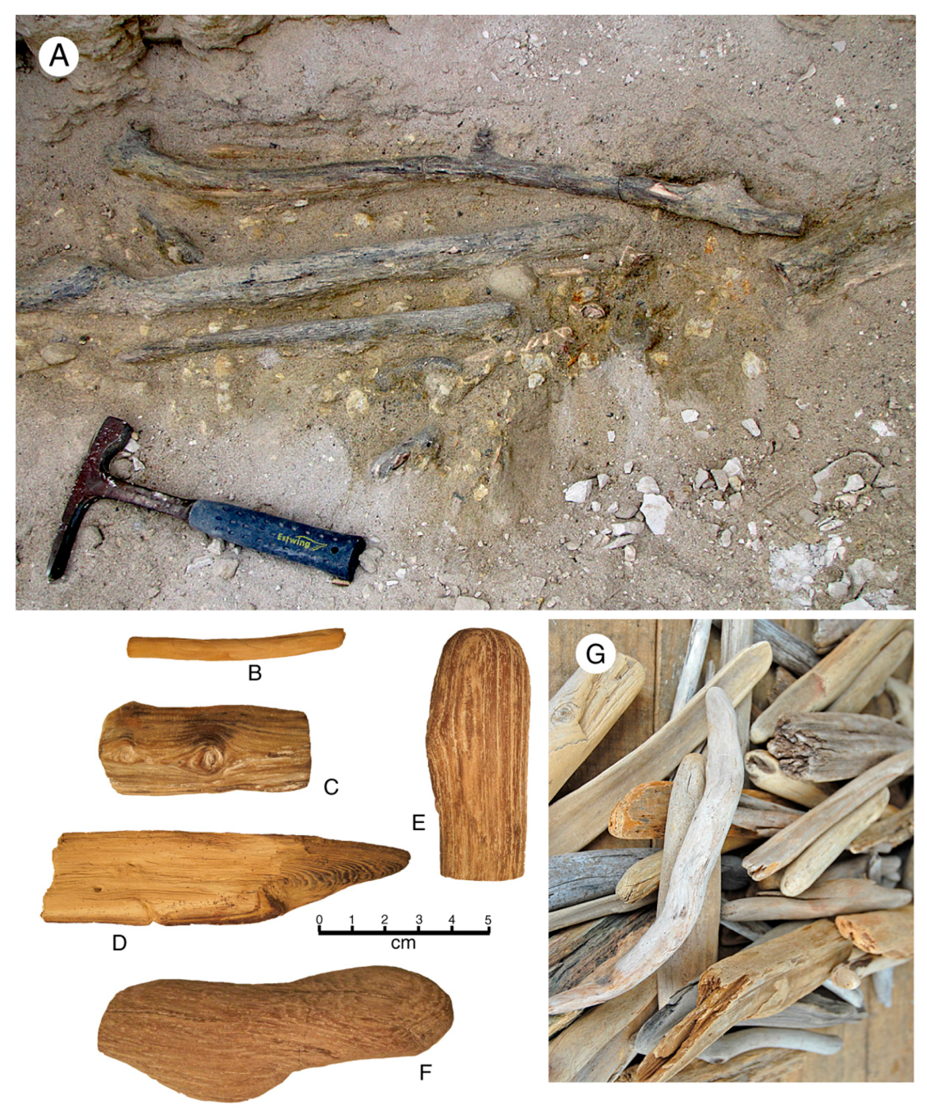 Geosciences 07 00082 g008