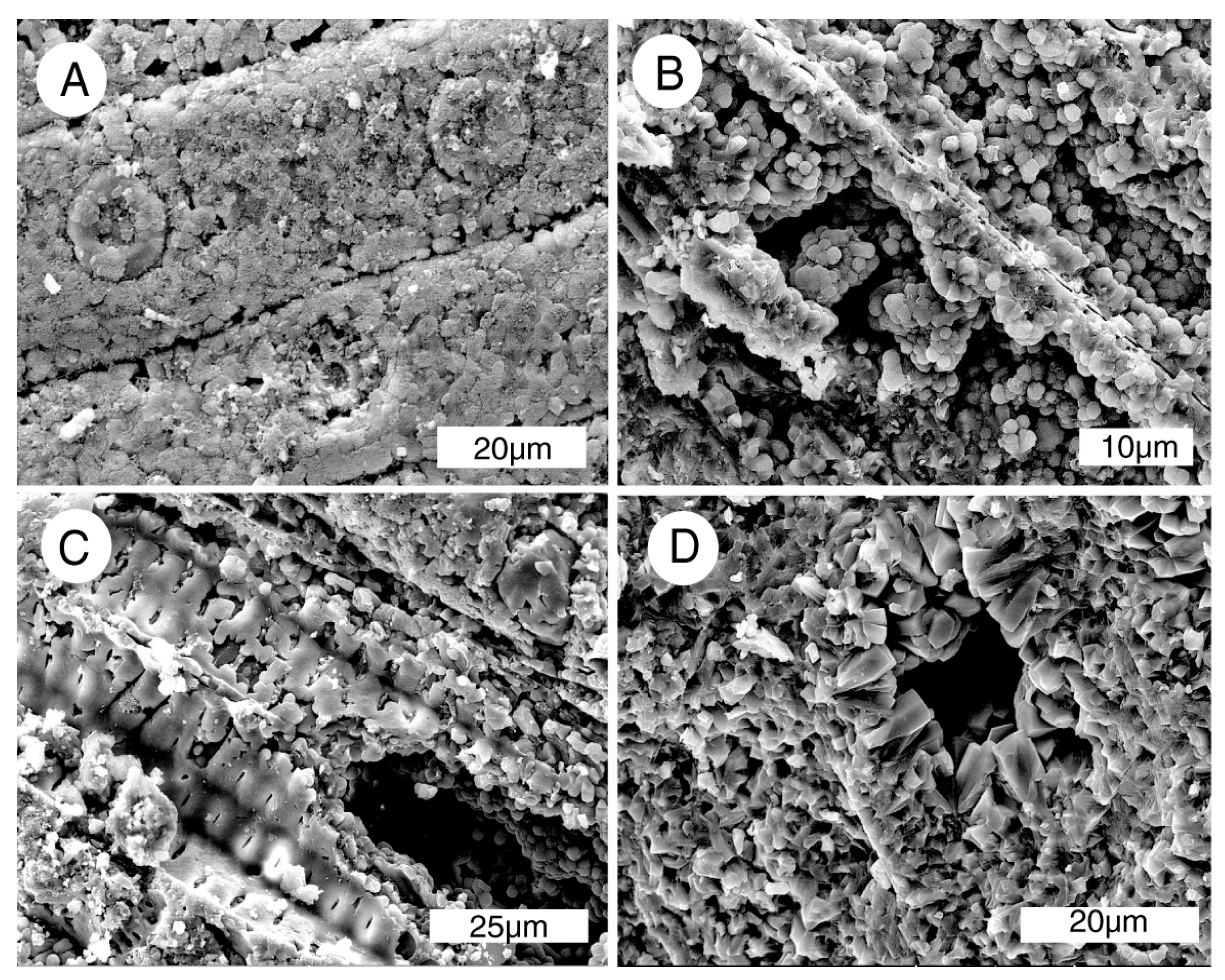 Geosciences 07 00082 g011