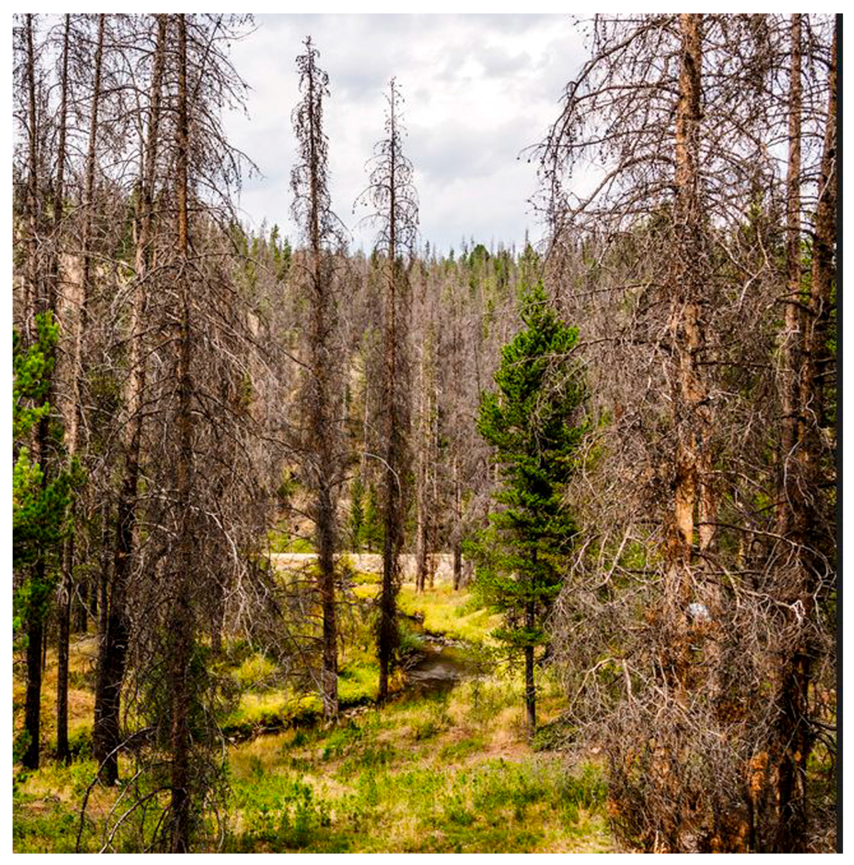 Geosciences 07 00082 g015