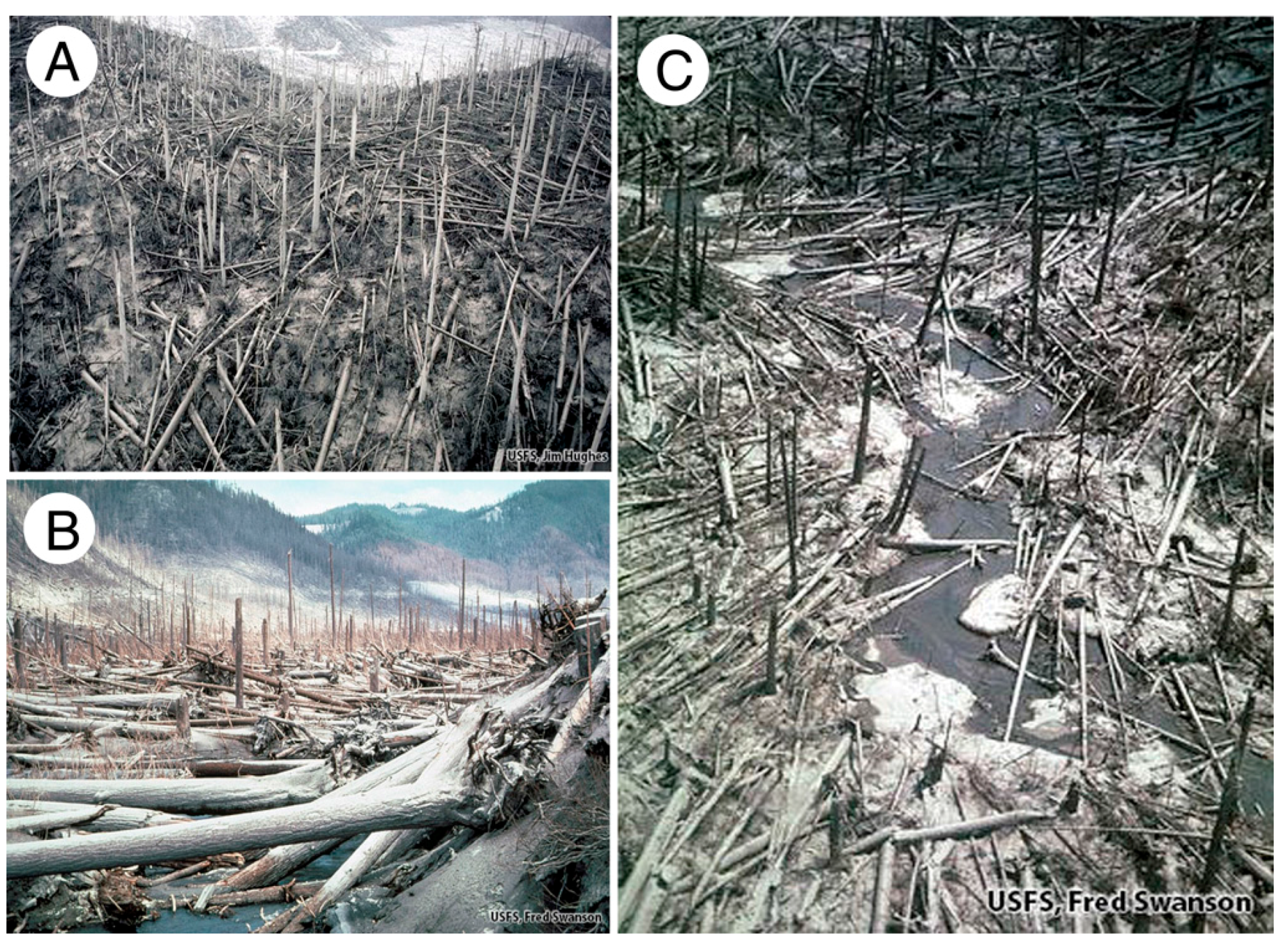 Geosciences 07 00082 g017