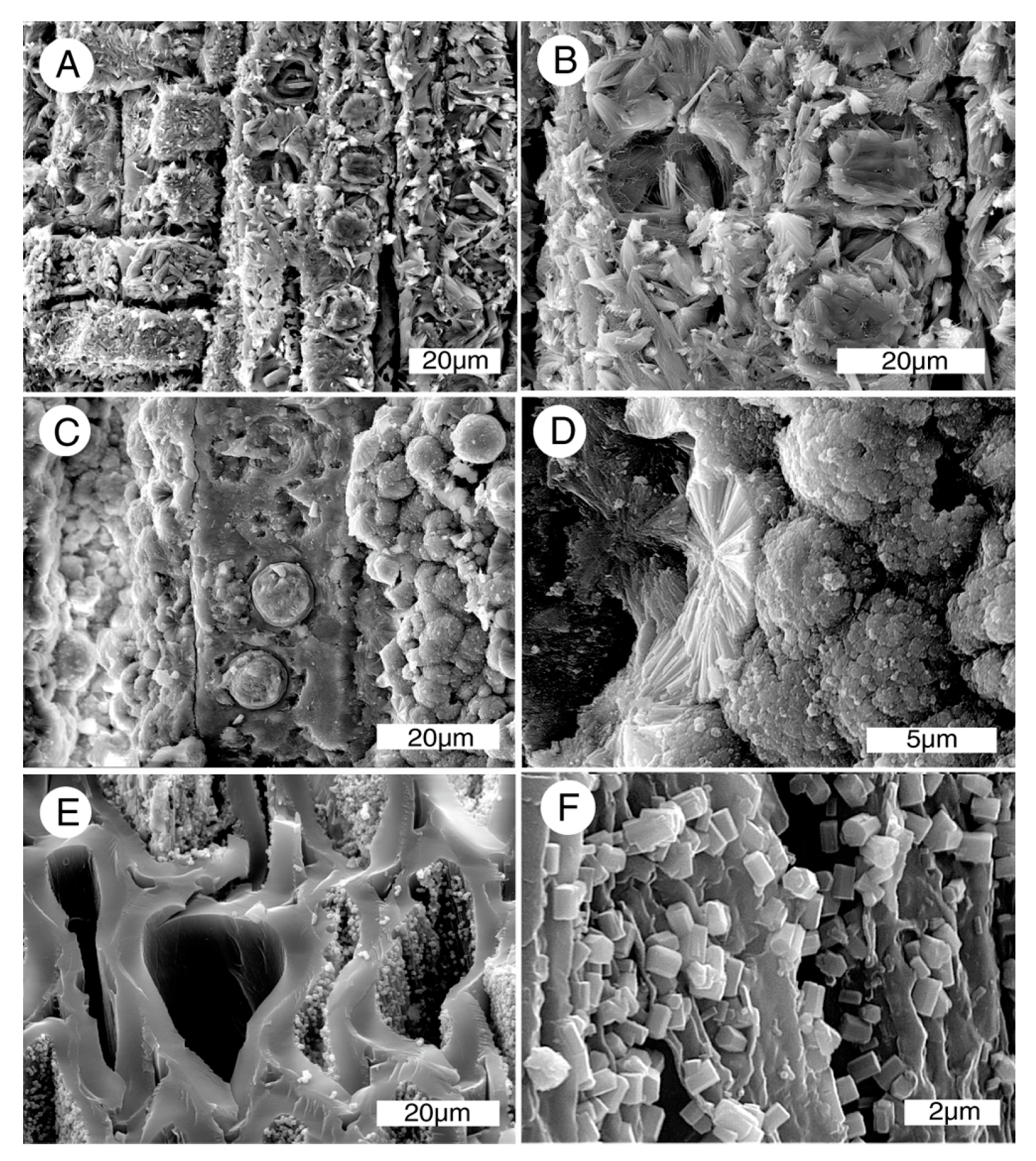 Geosciences 07 00082 g019