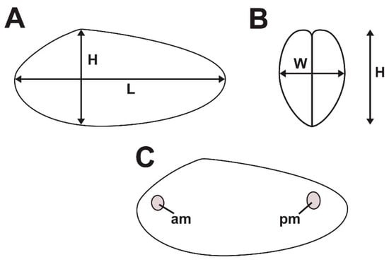 Geosciences 07 00102 g006 550