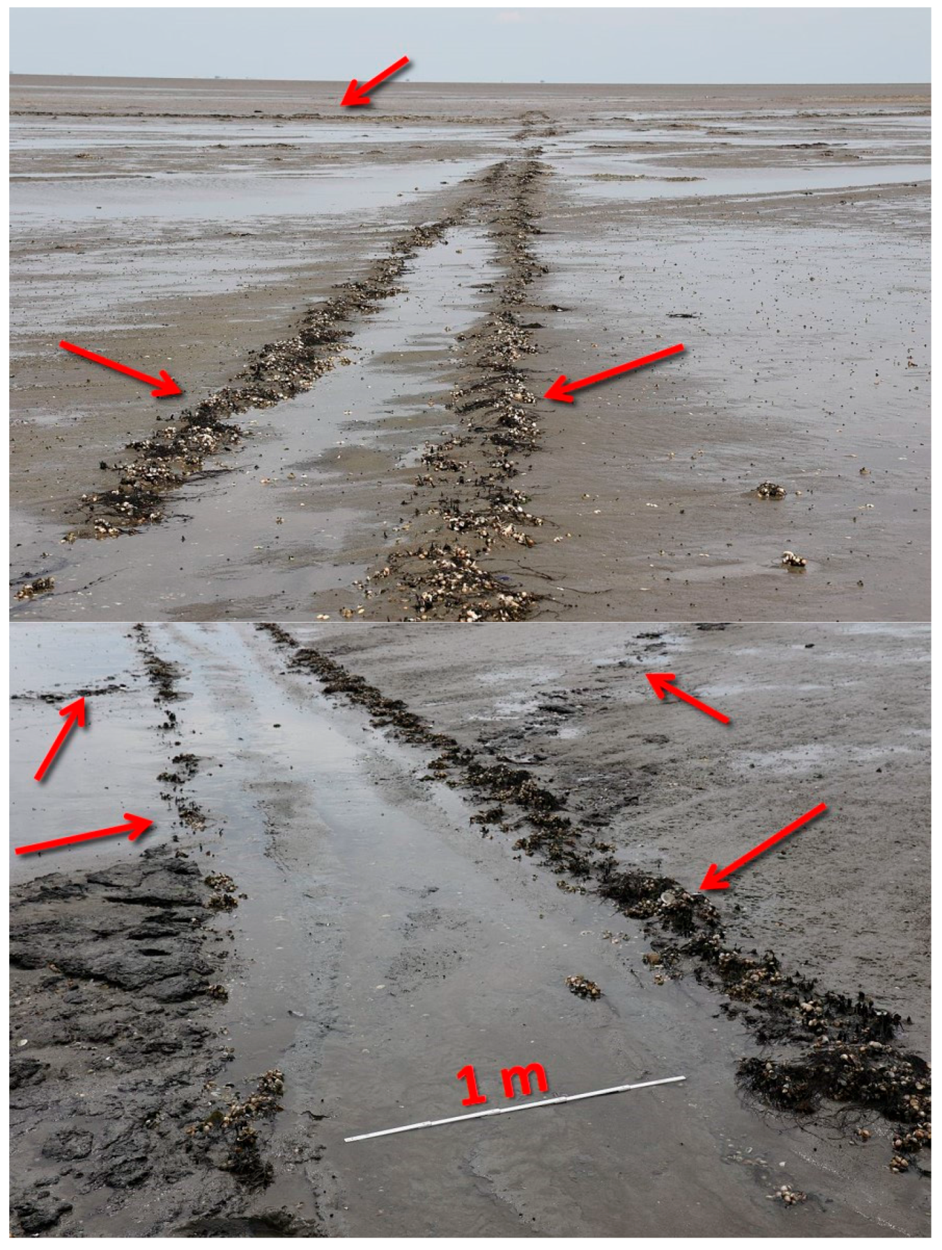 Geosciences 07 00105 g010