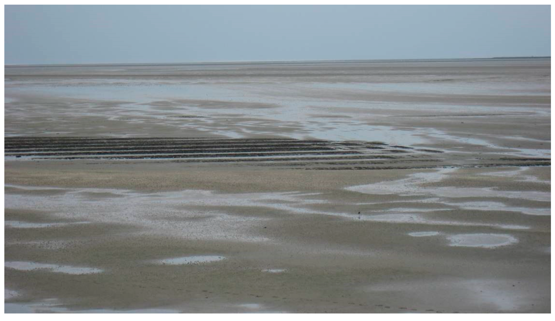 Geosciences 07 00105 g012