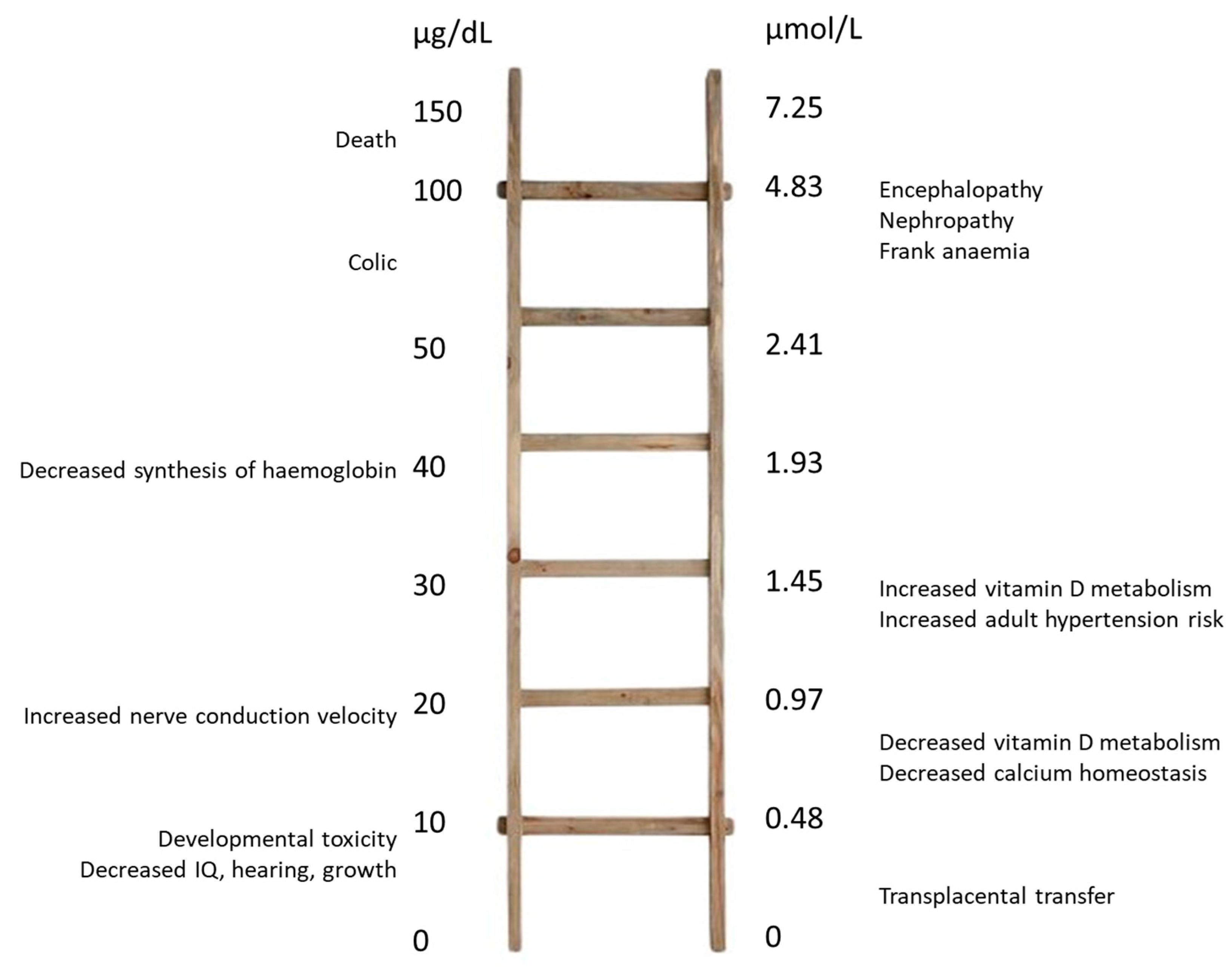 Geosciences 08 00024 g002