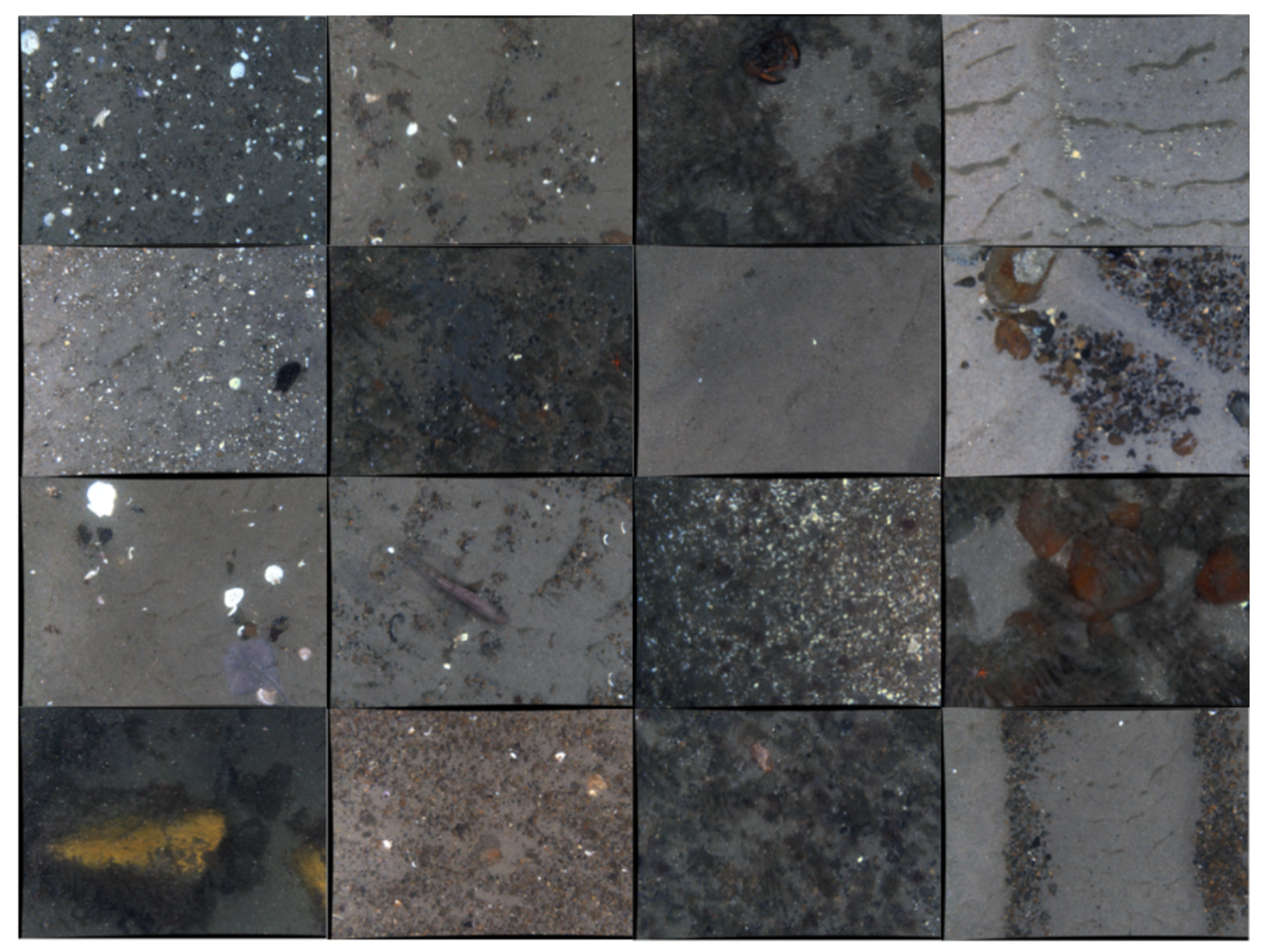 Geosciences 08 00028 g037