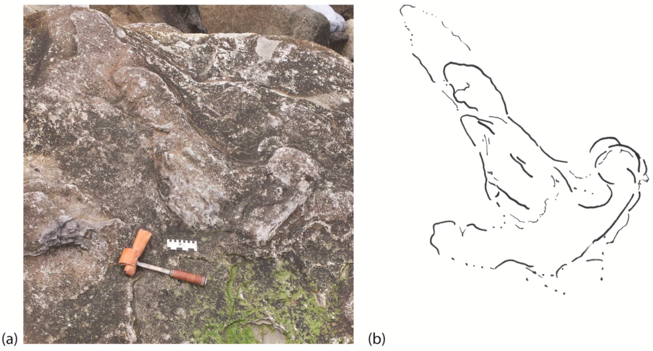 Geosciences 08 00053 g006 Geosciences 08 00053 g006