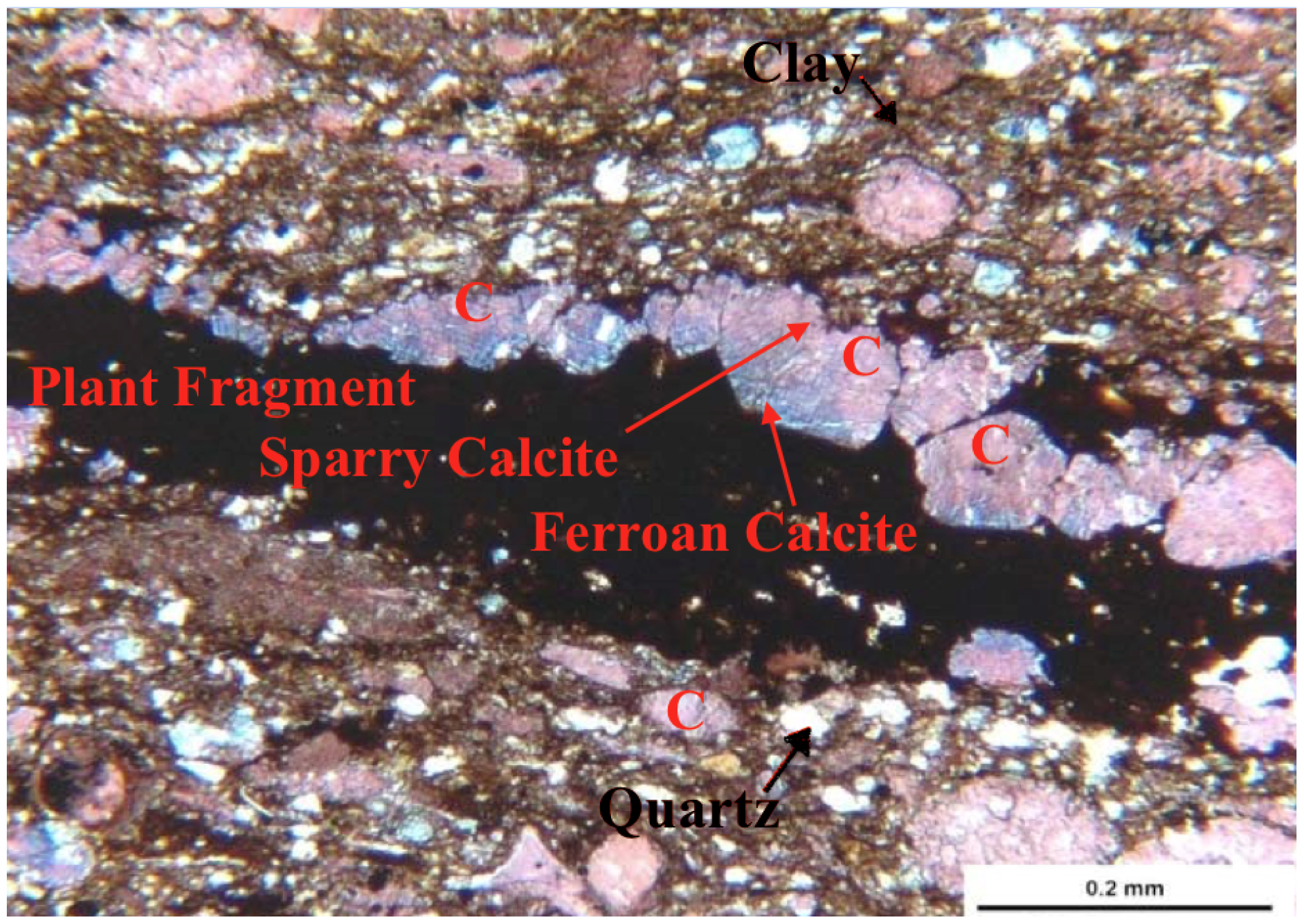 Geosciences 08 00065 g006