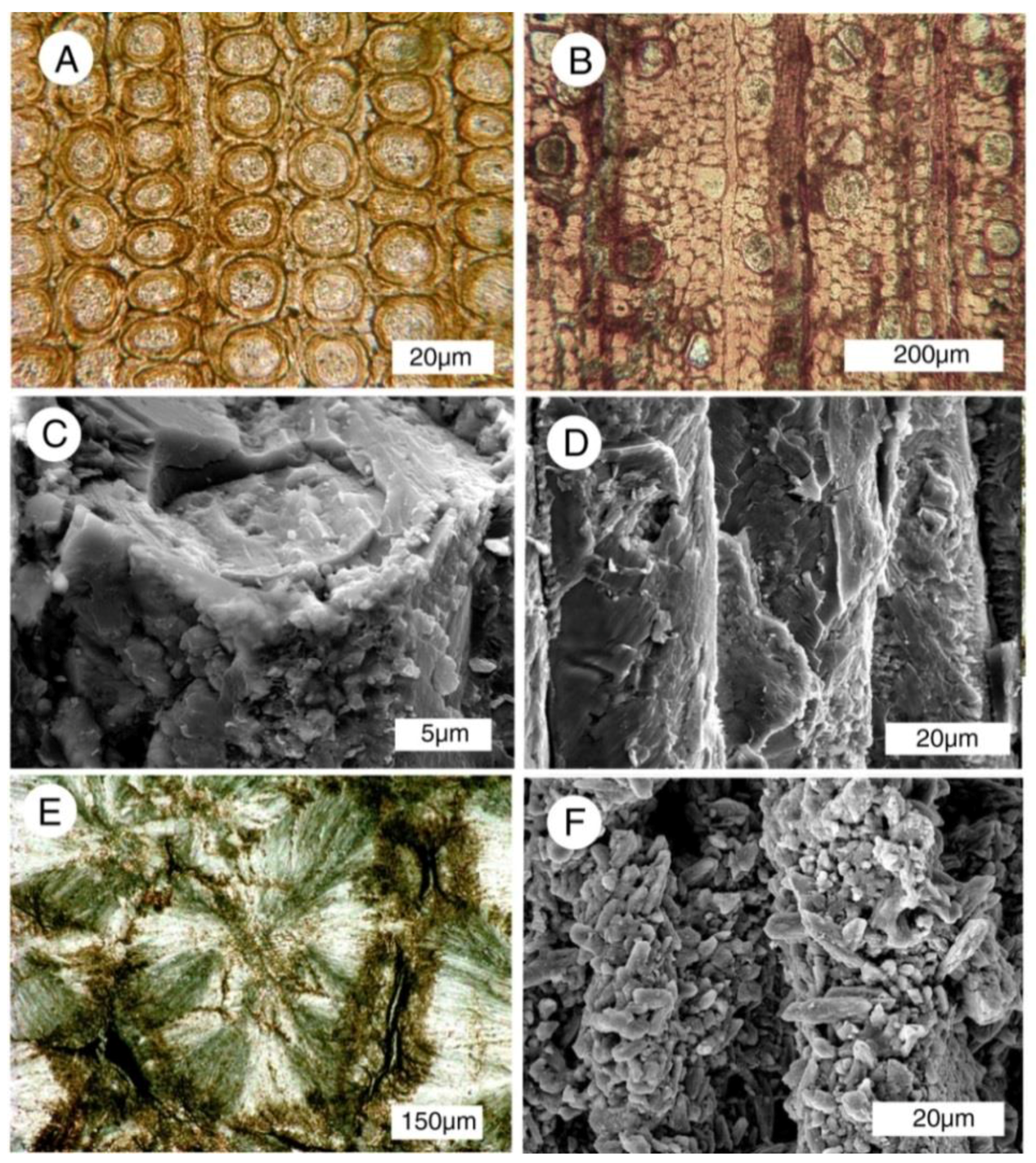 Geosciences 08 00085 g002