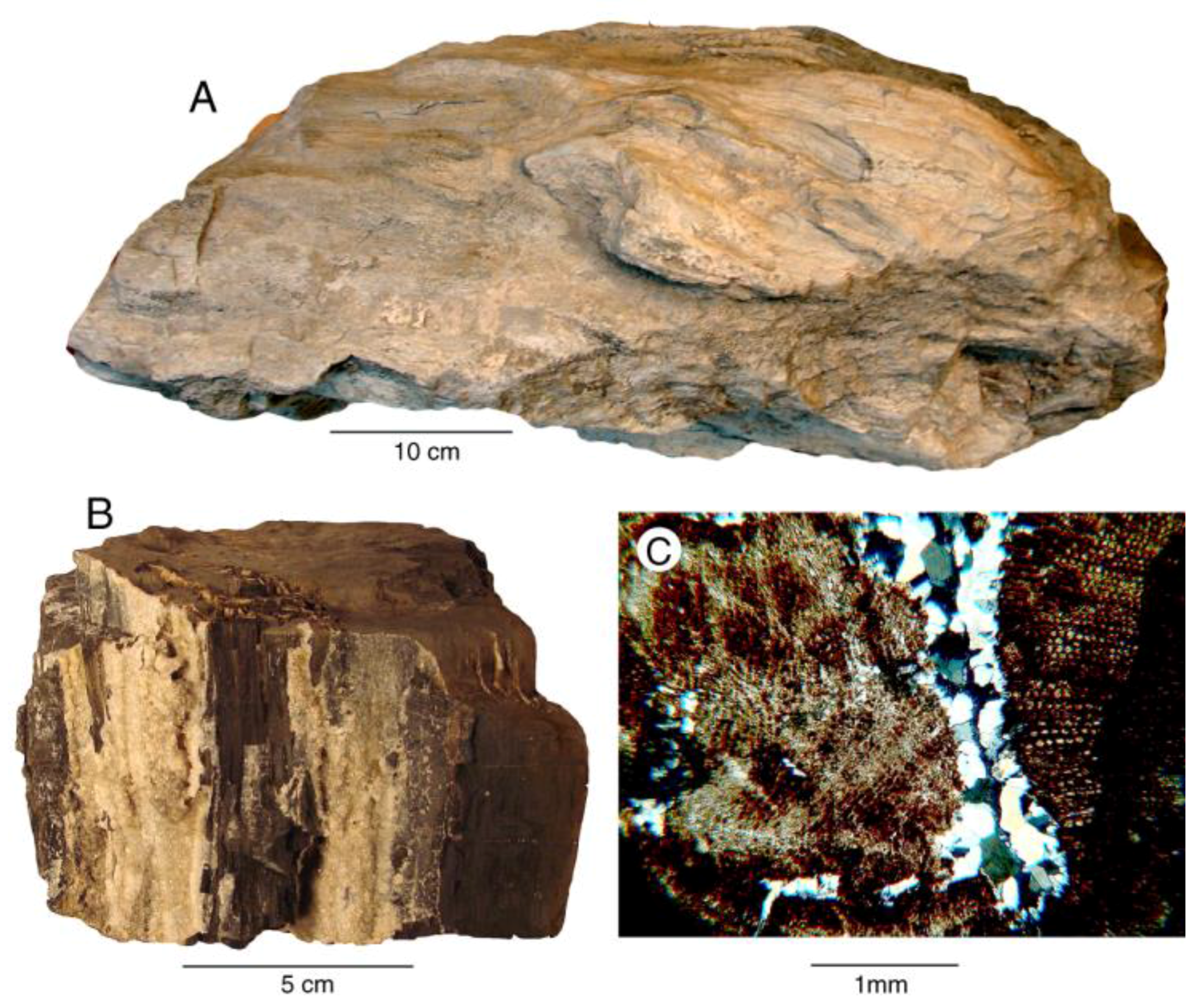 Geosciences 08 00085 g003