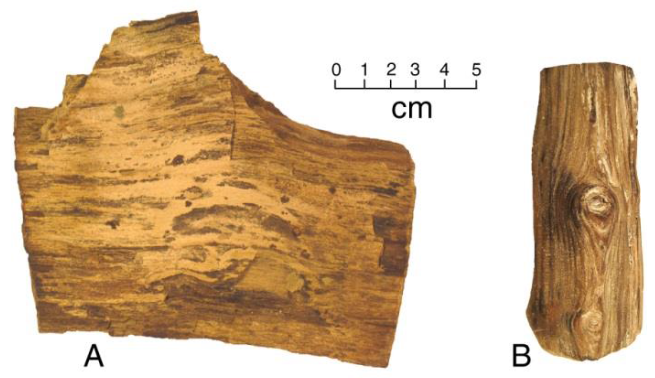 Geosciences 08 00085 g004