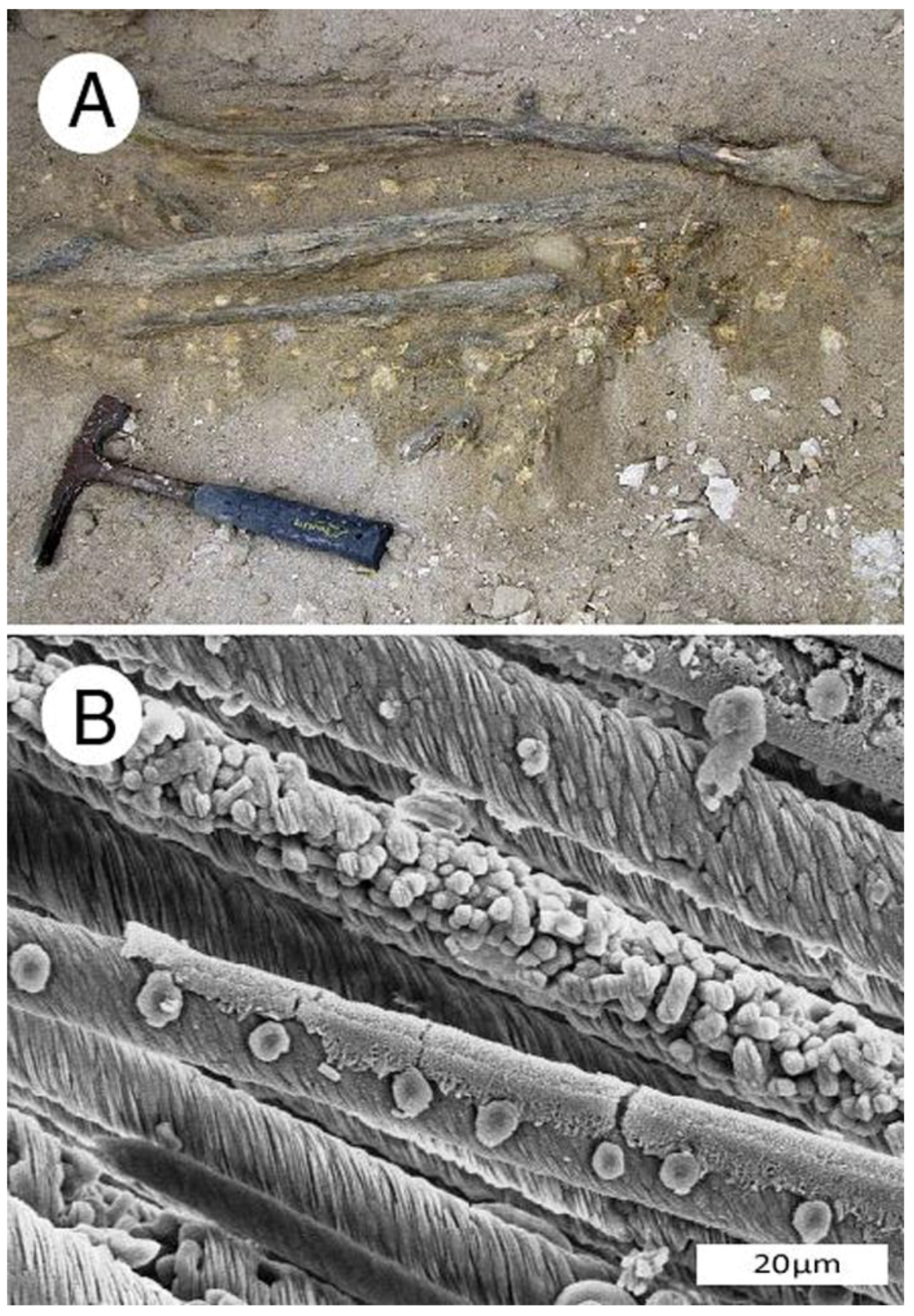 Geosciences 08 00085 g005