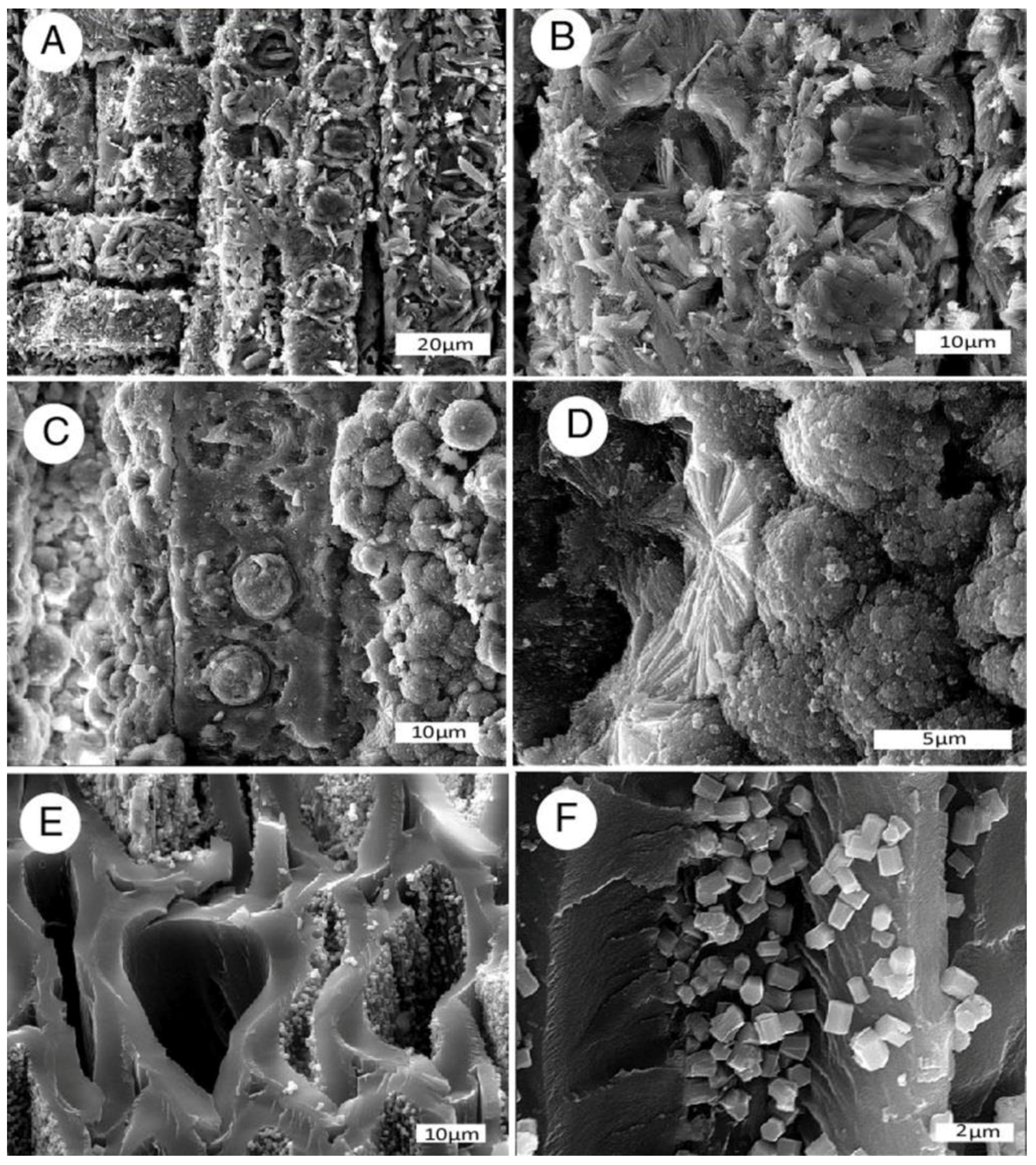 Geosciences 08 00085 g007