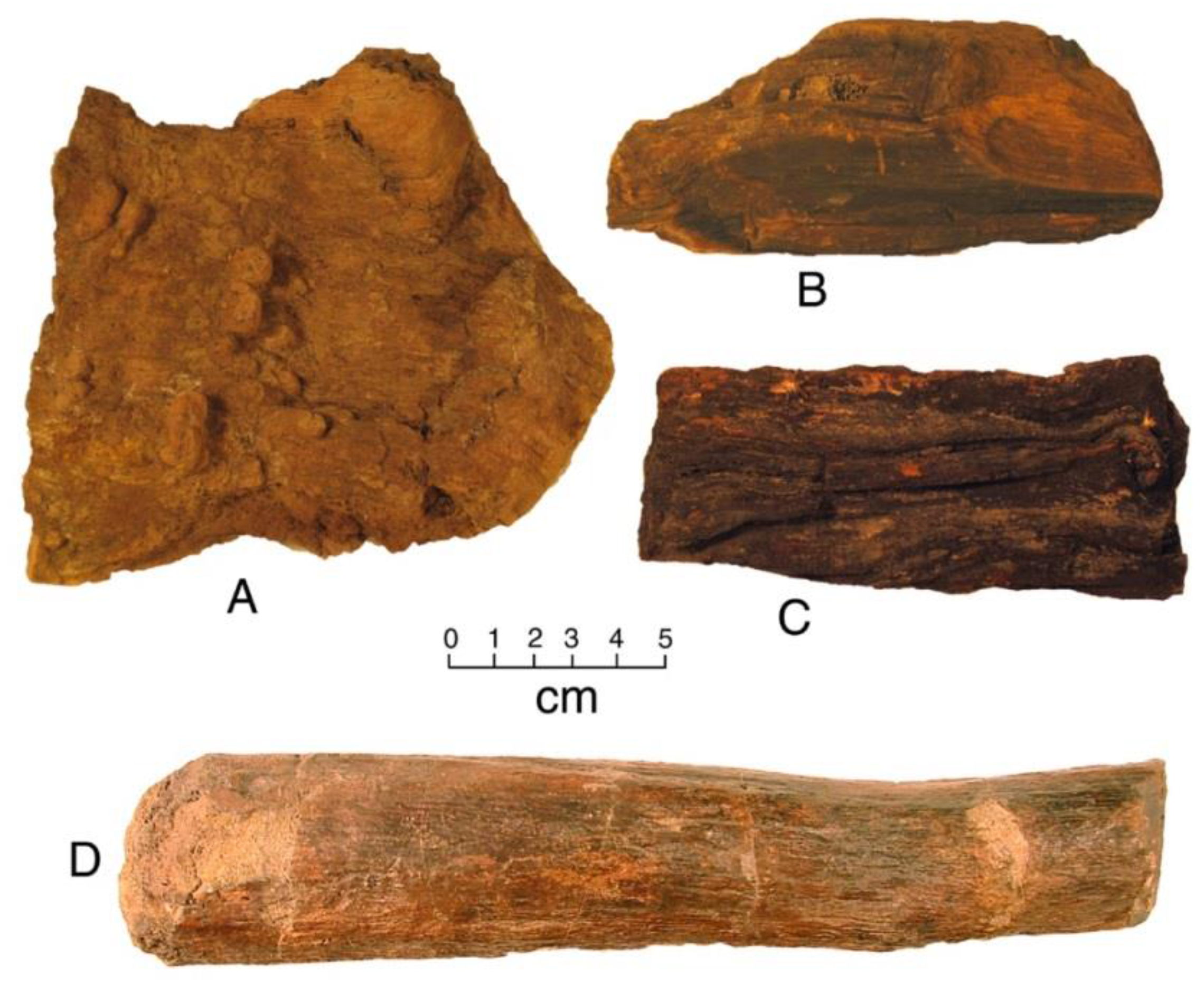 Geosciences 08 00085 g009
