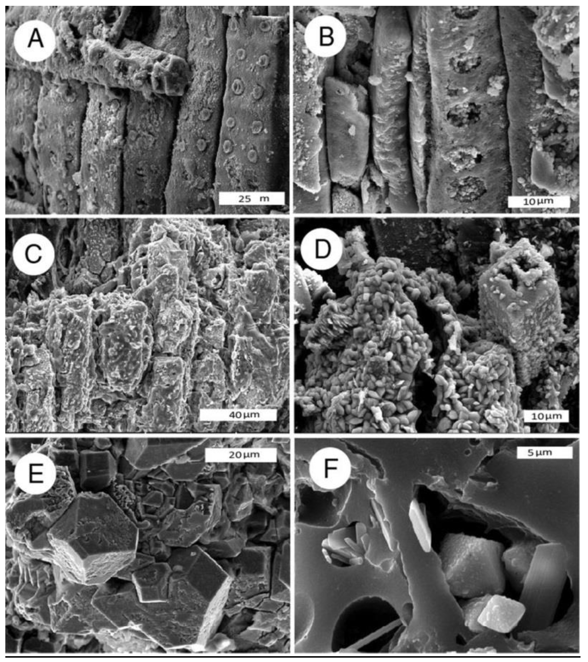Geosciences 08 00085 g010