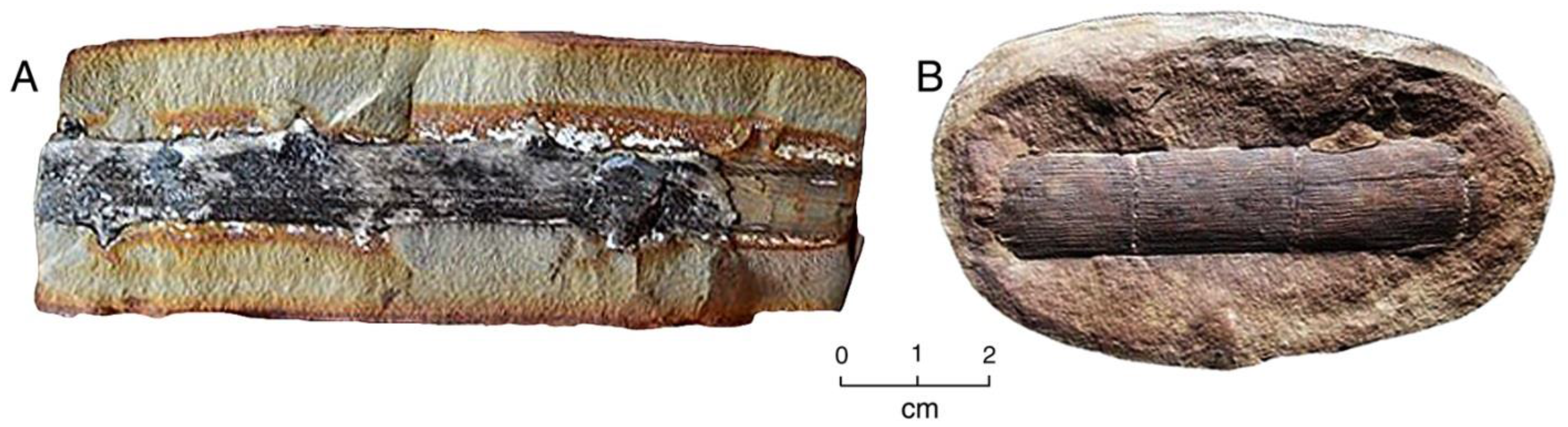 Geosciences 08 00085 g011