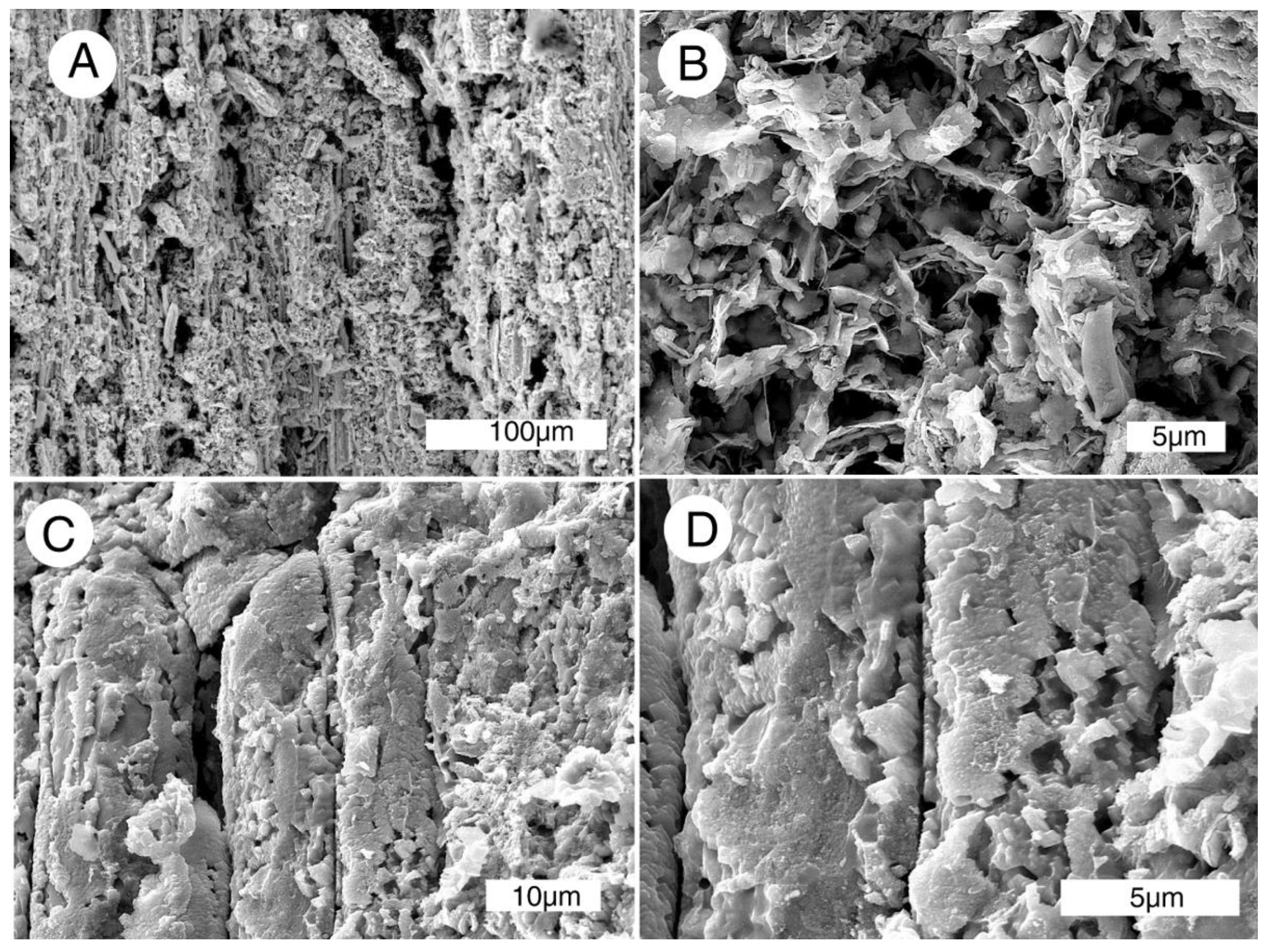 Geosciences 08 00085 g014