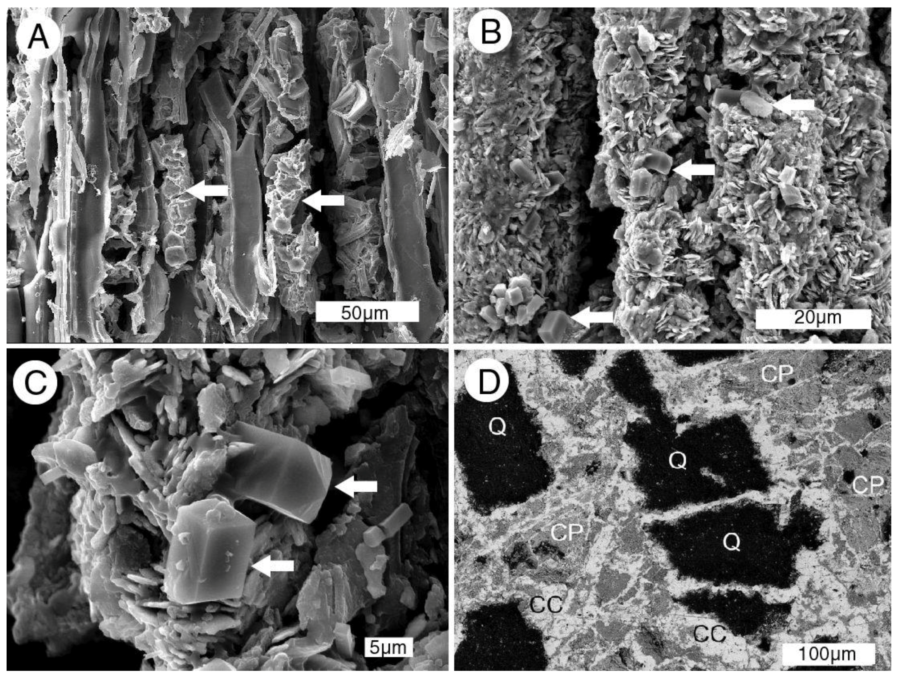 Geosciences 08 00085 g017
