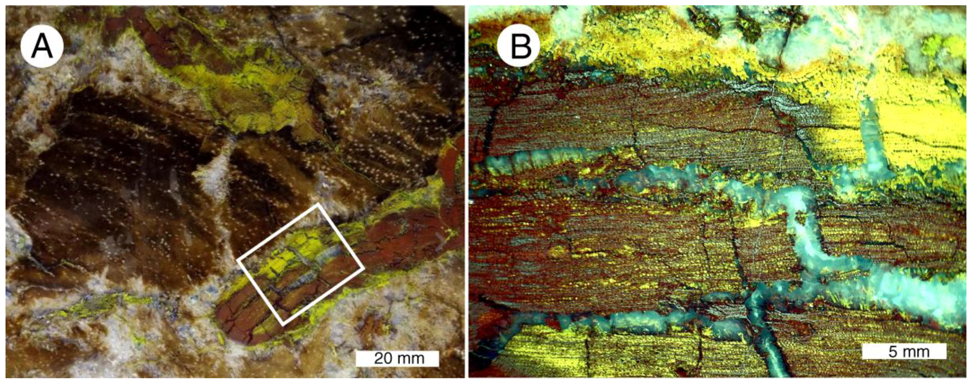 Geosciences 08 00085 g025