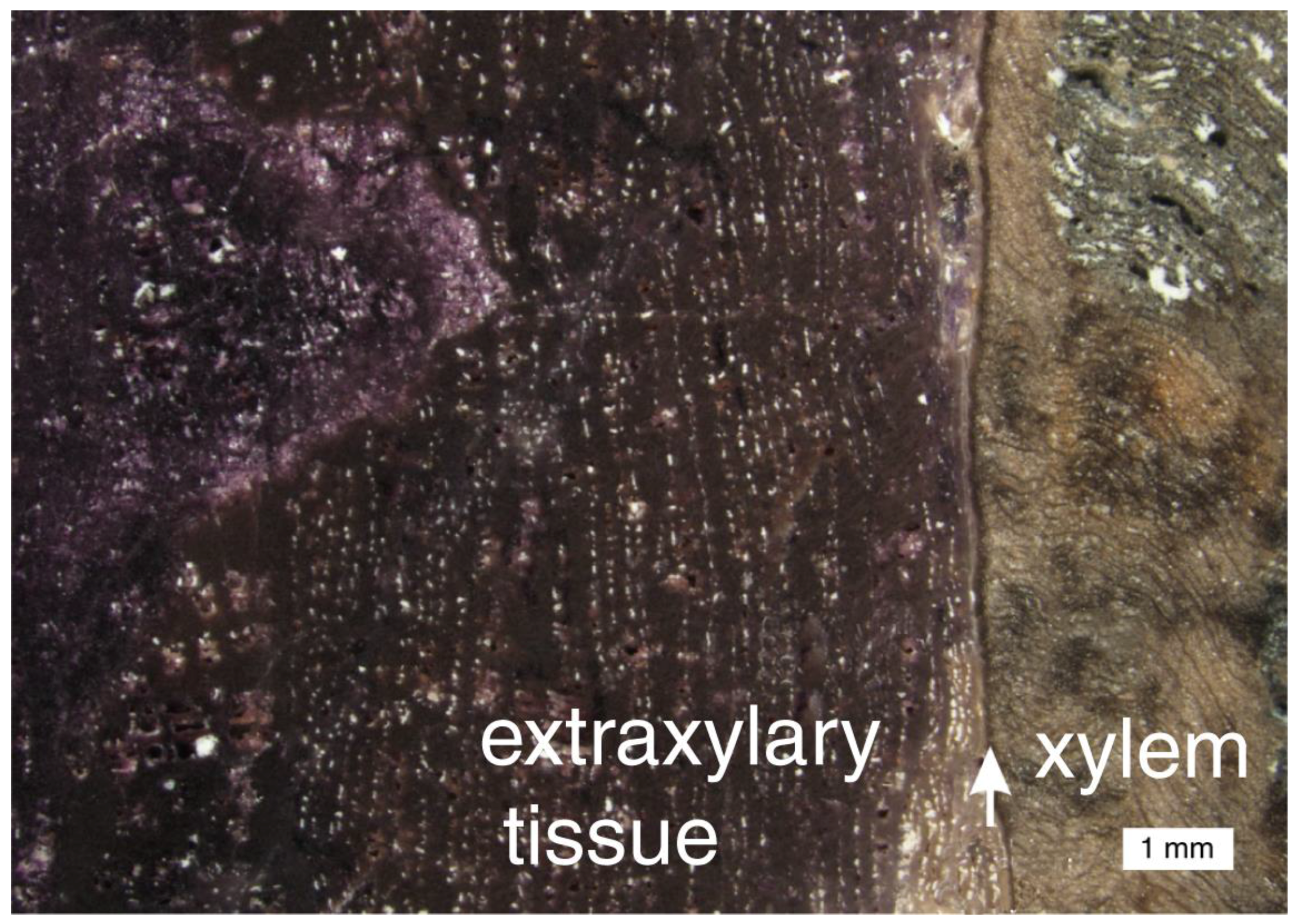 Geosciences 08 00085 g027