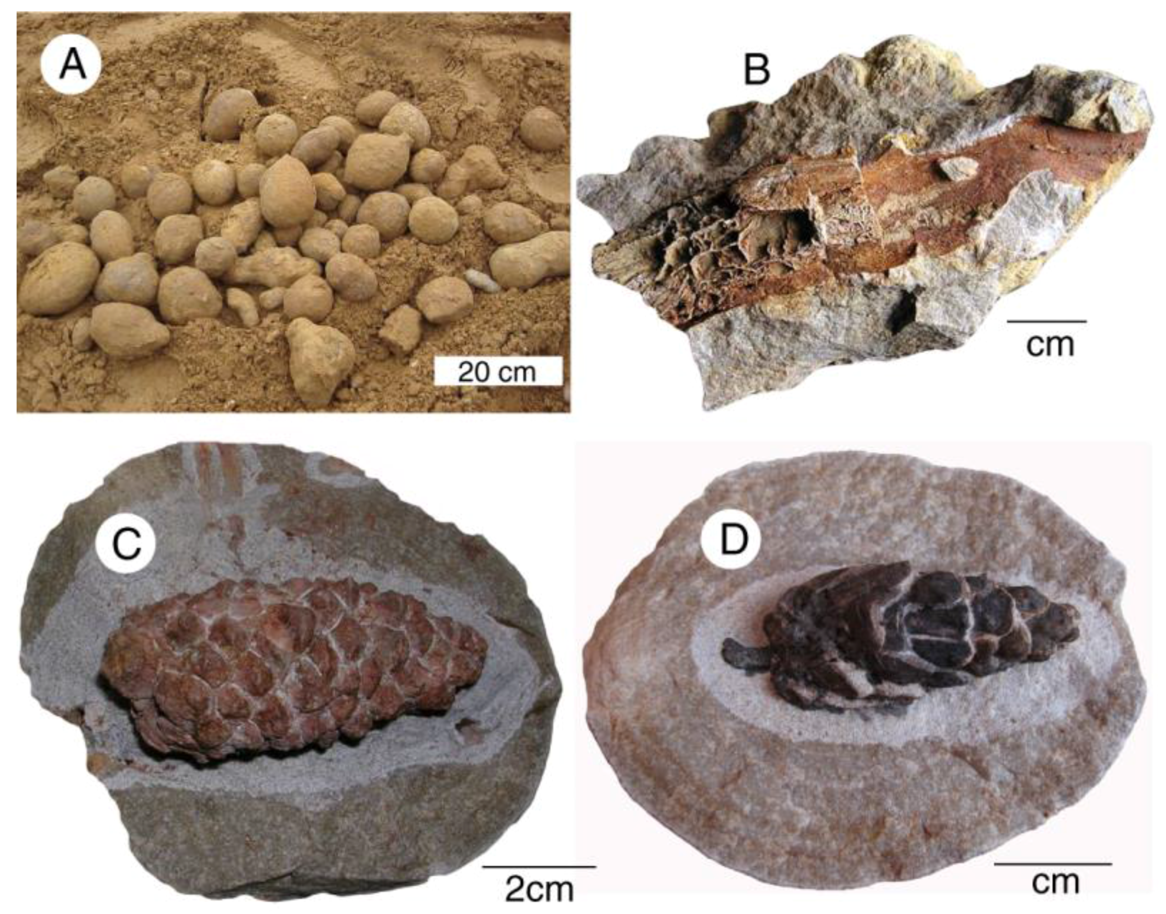 Geosciences 08 00085 g028