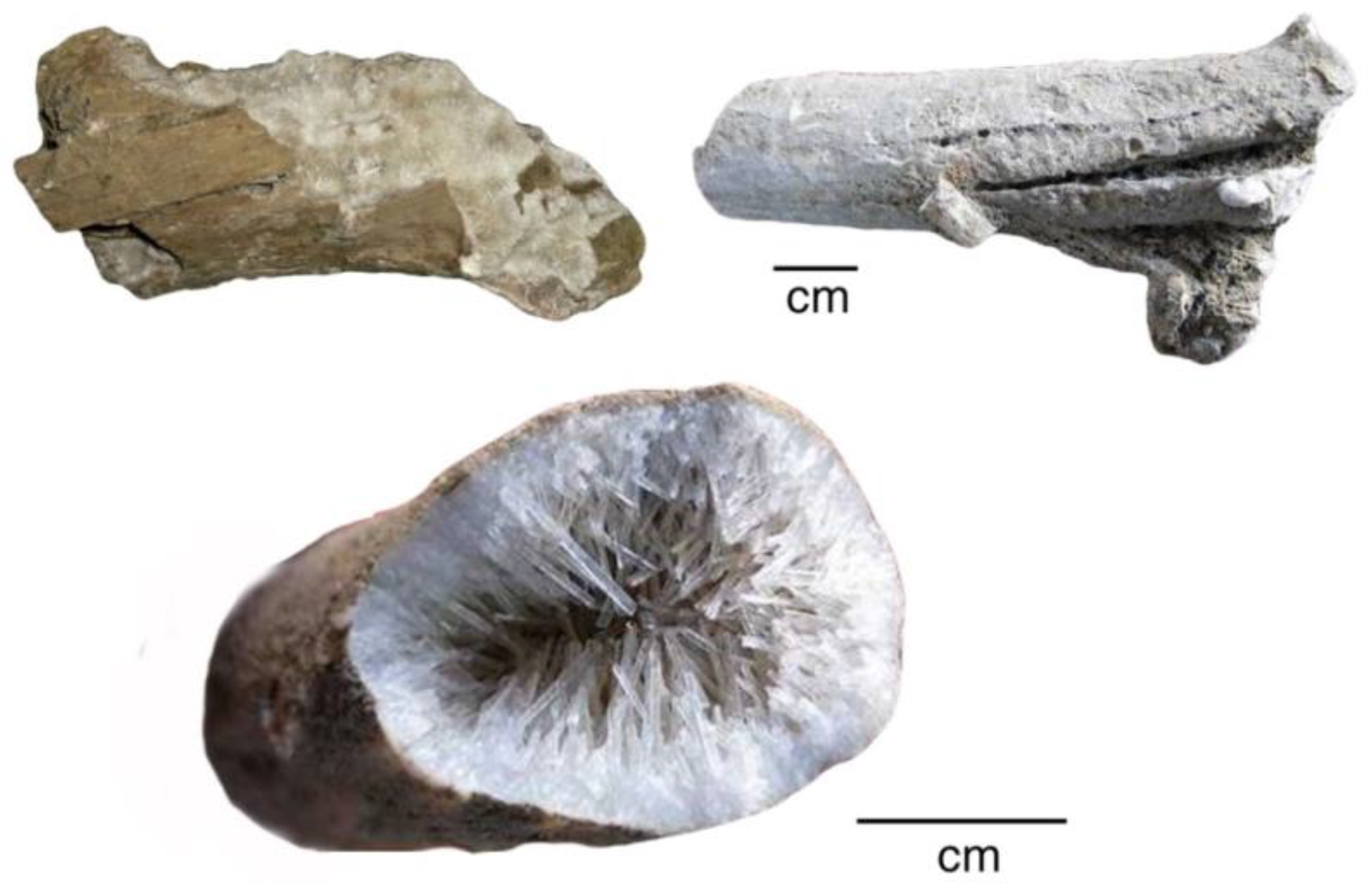 Geosciences 08 00085 g030