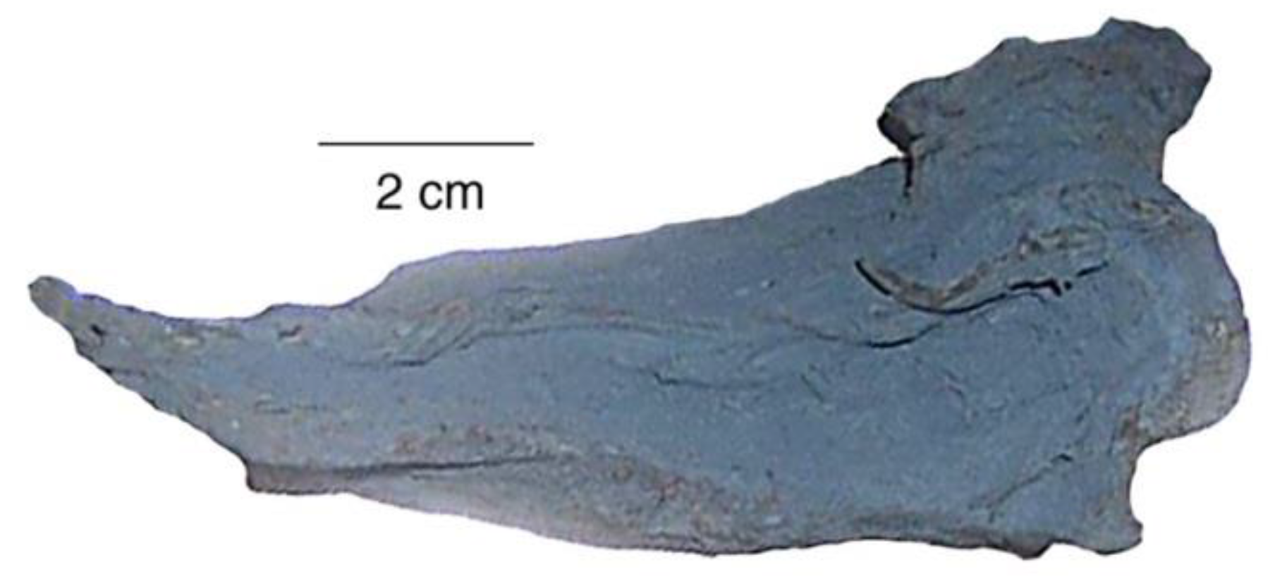 Geosciences 08 00085 g036