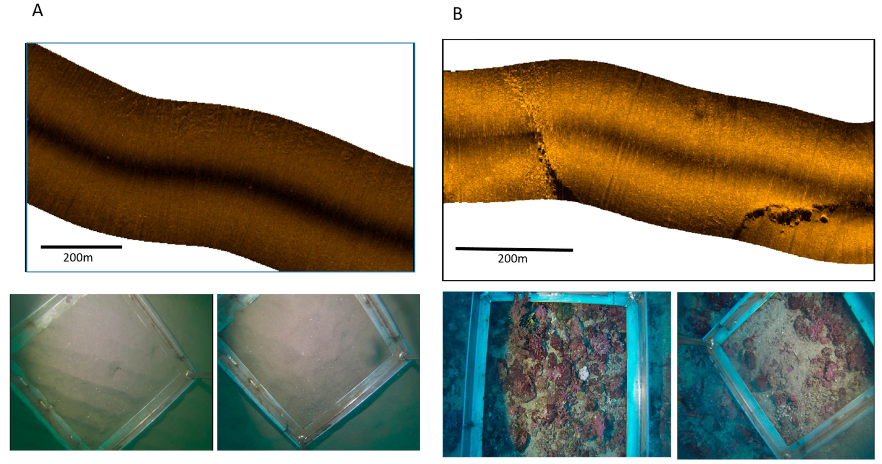 Geosciences 08 00091 g005