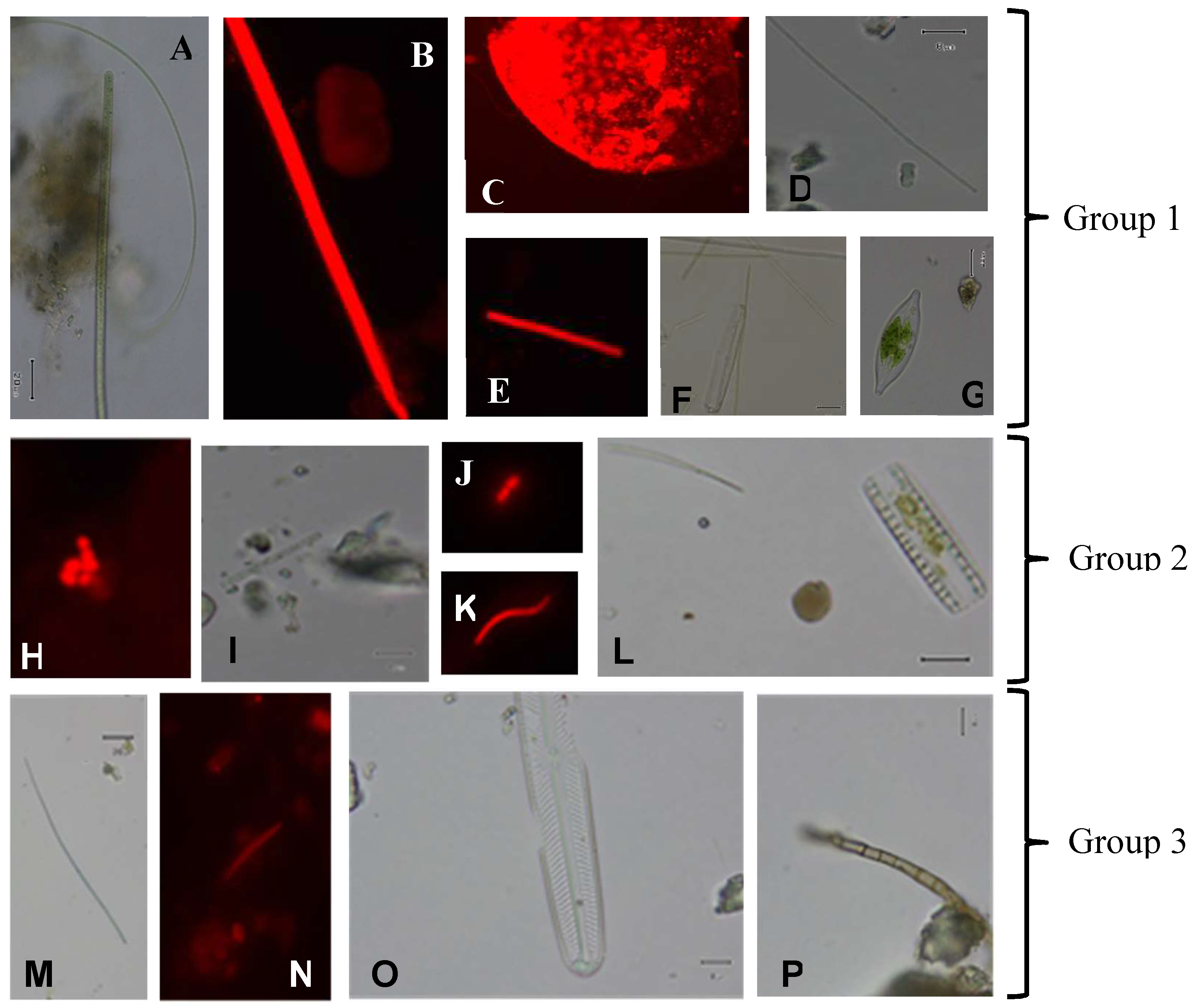 Geosciences 08 00106 g003