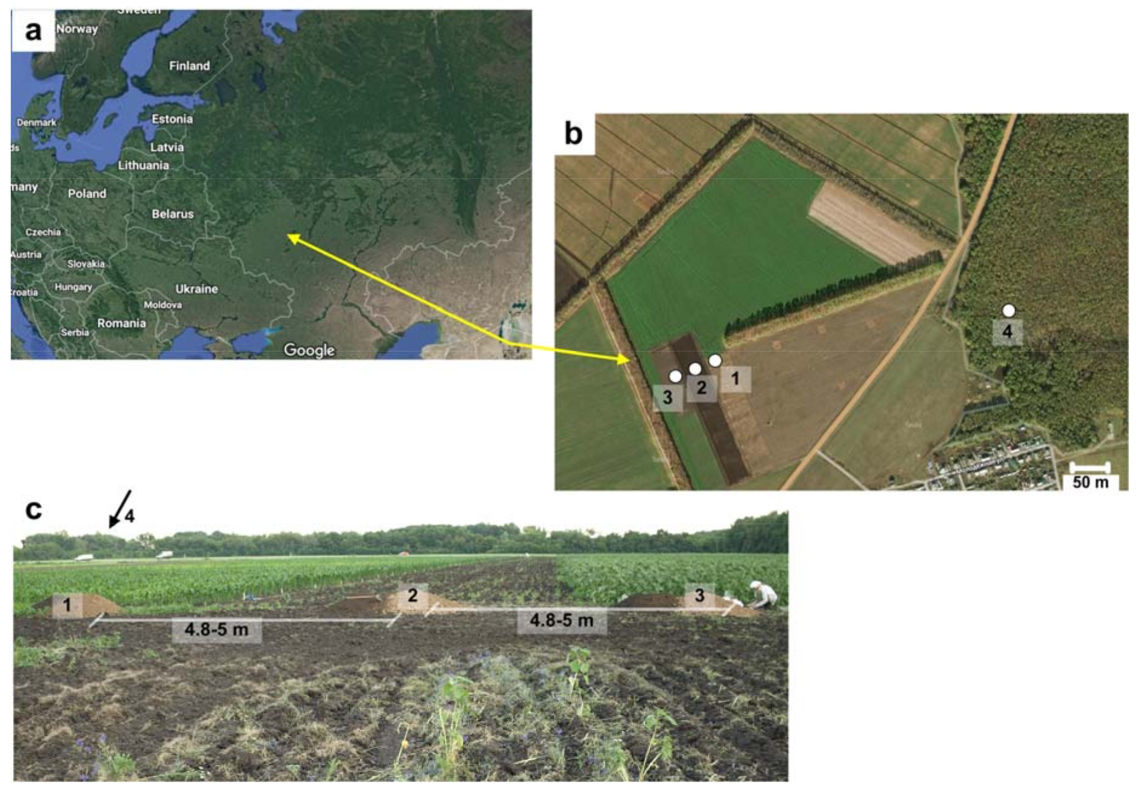 Geosciences 08 00144 g001