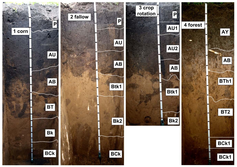 Geosciences 08 00144 g002