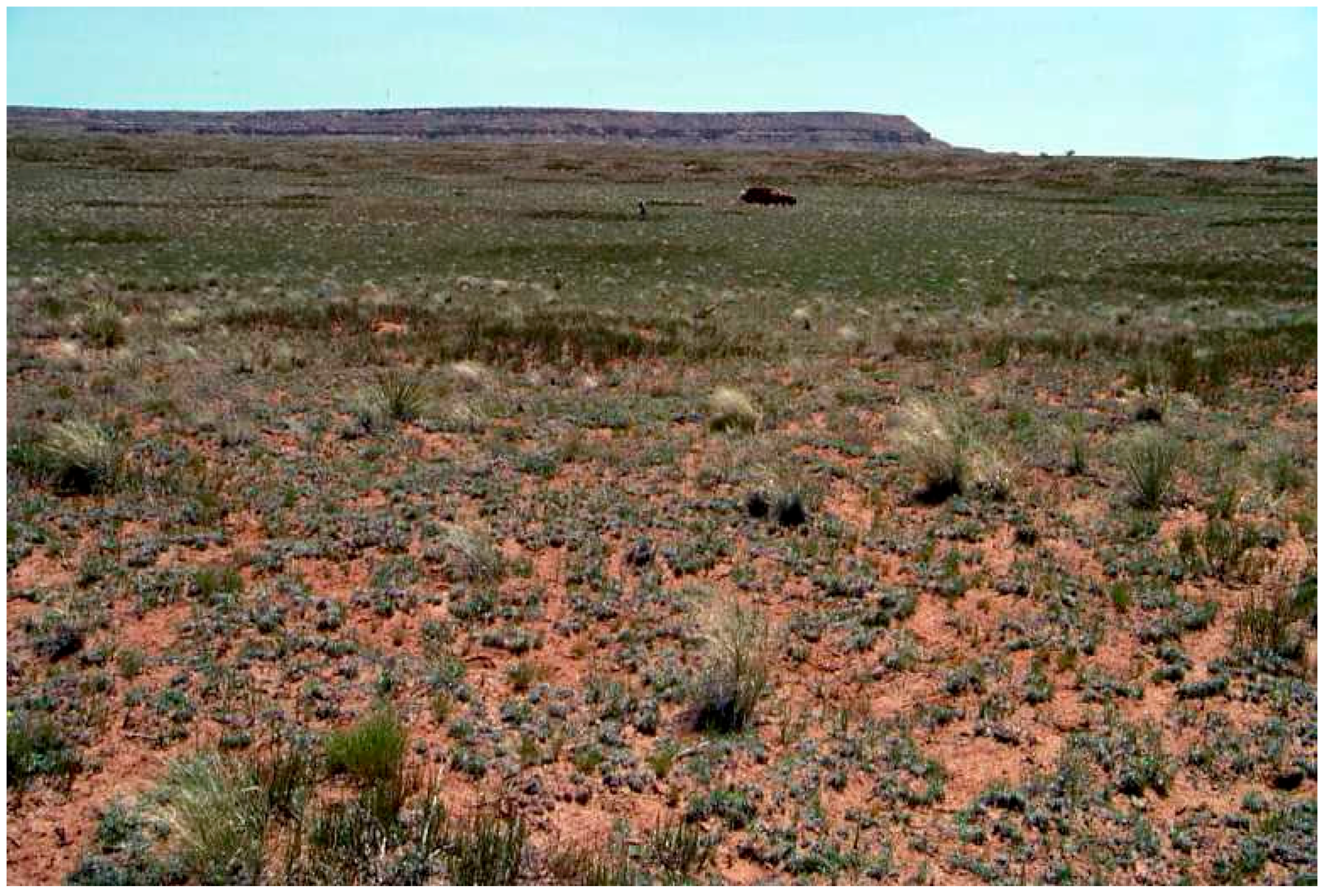 Geosciences 08 00146 g008