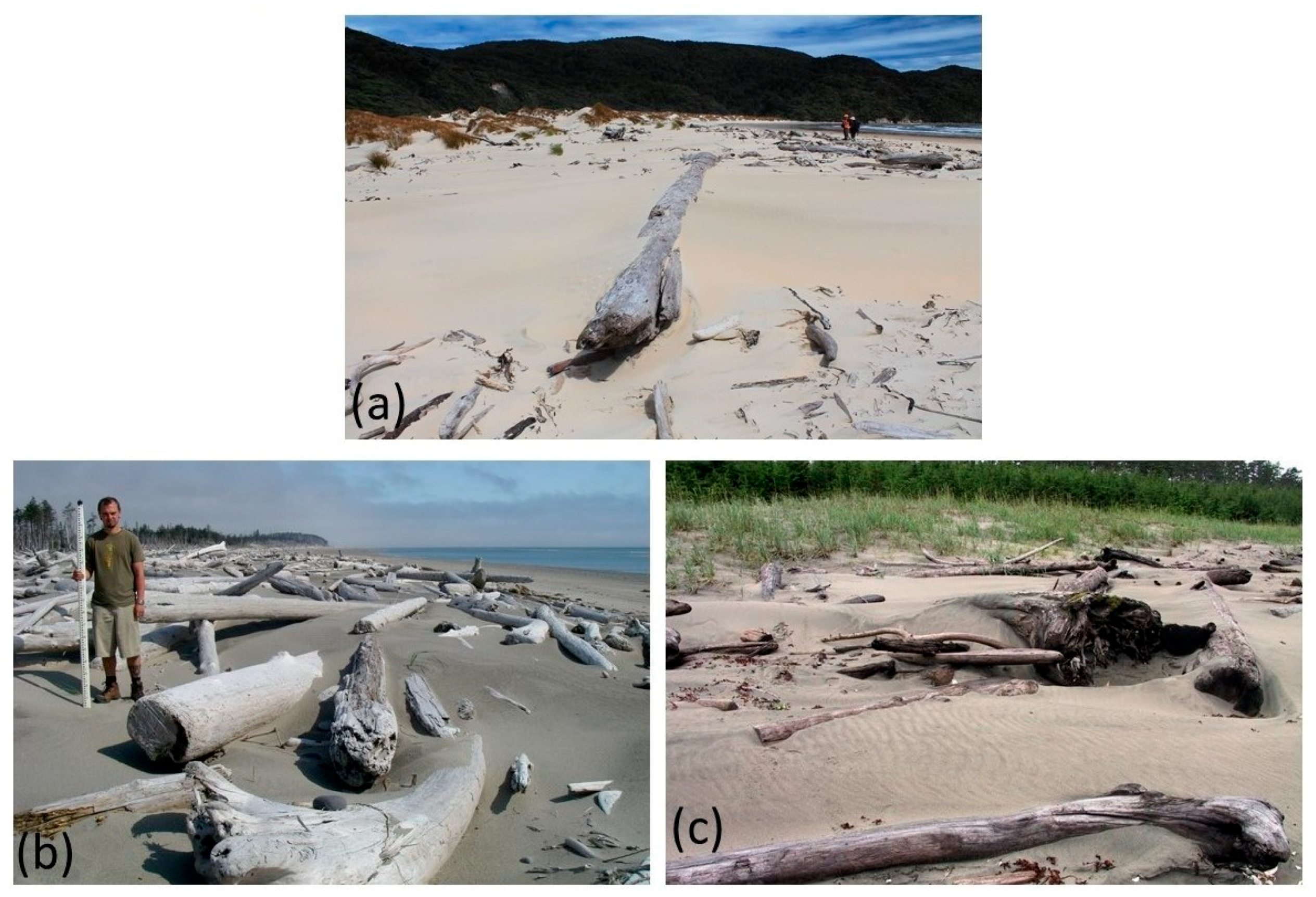 Geosciences 08 00147 g004