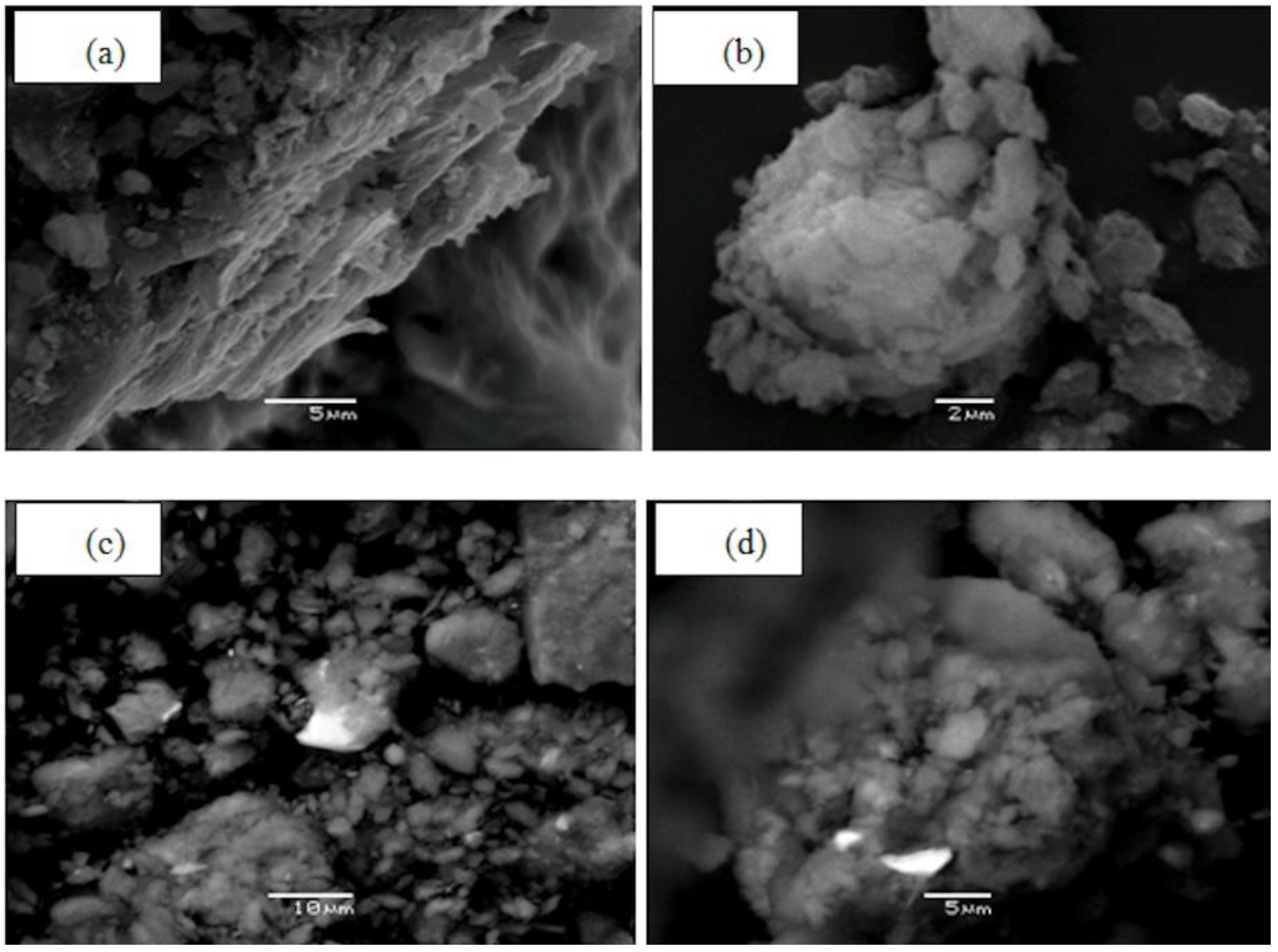 Geosciences 08 00157 g002