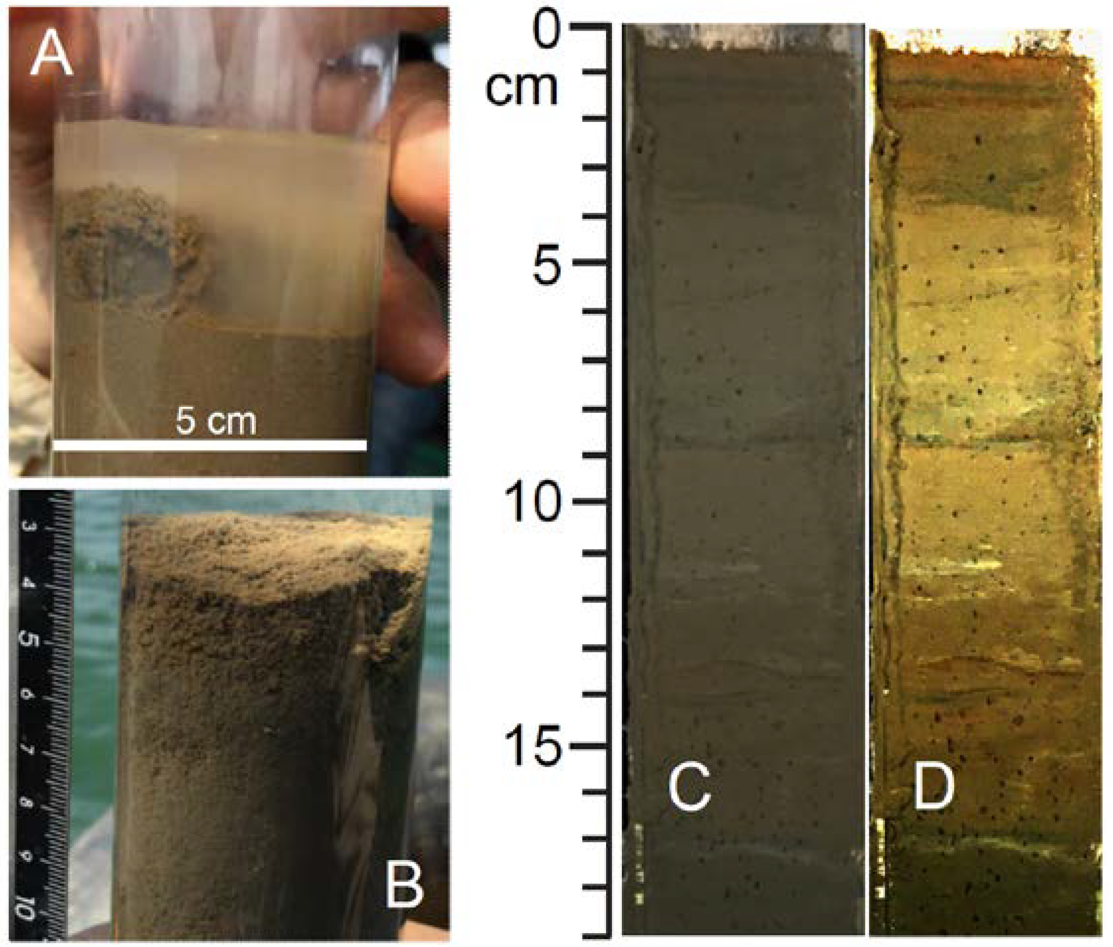 Geosciences 08 00176 g004