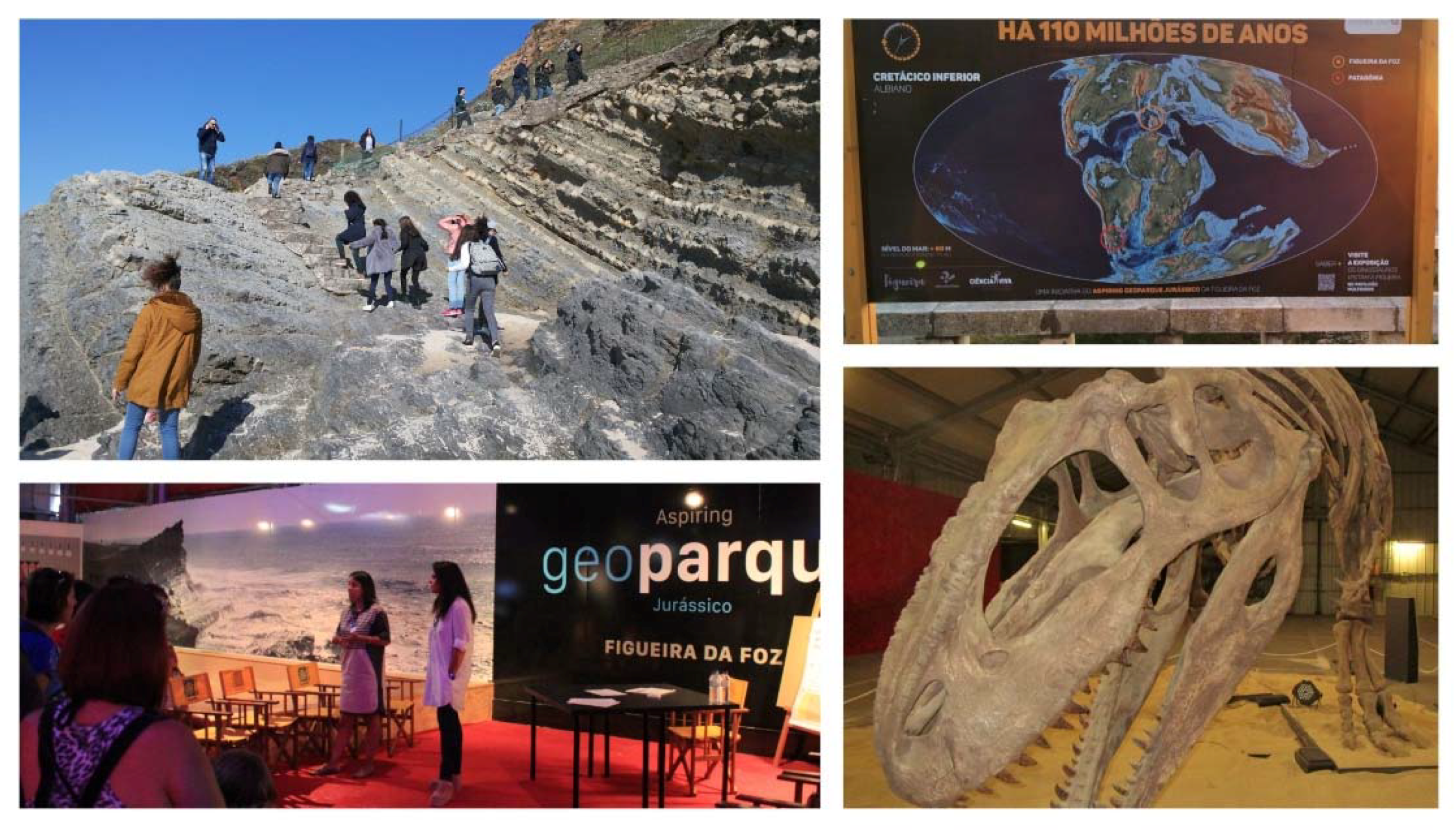 Geosciences 08 00190 g005