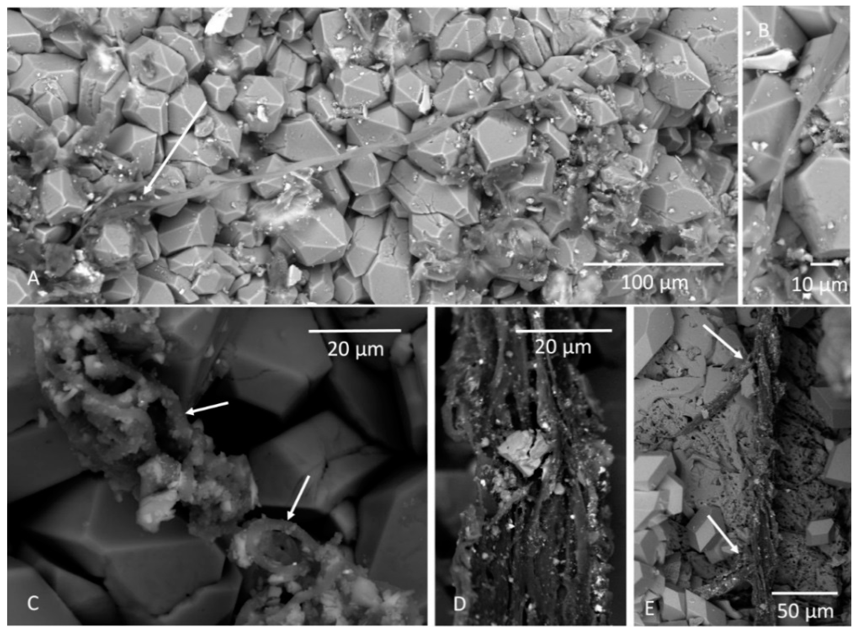 Geosciences 08 00211 g008