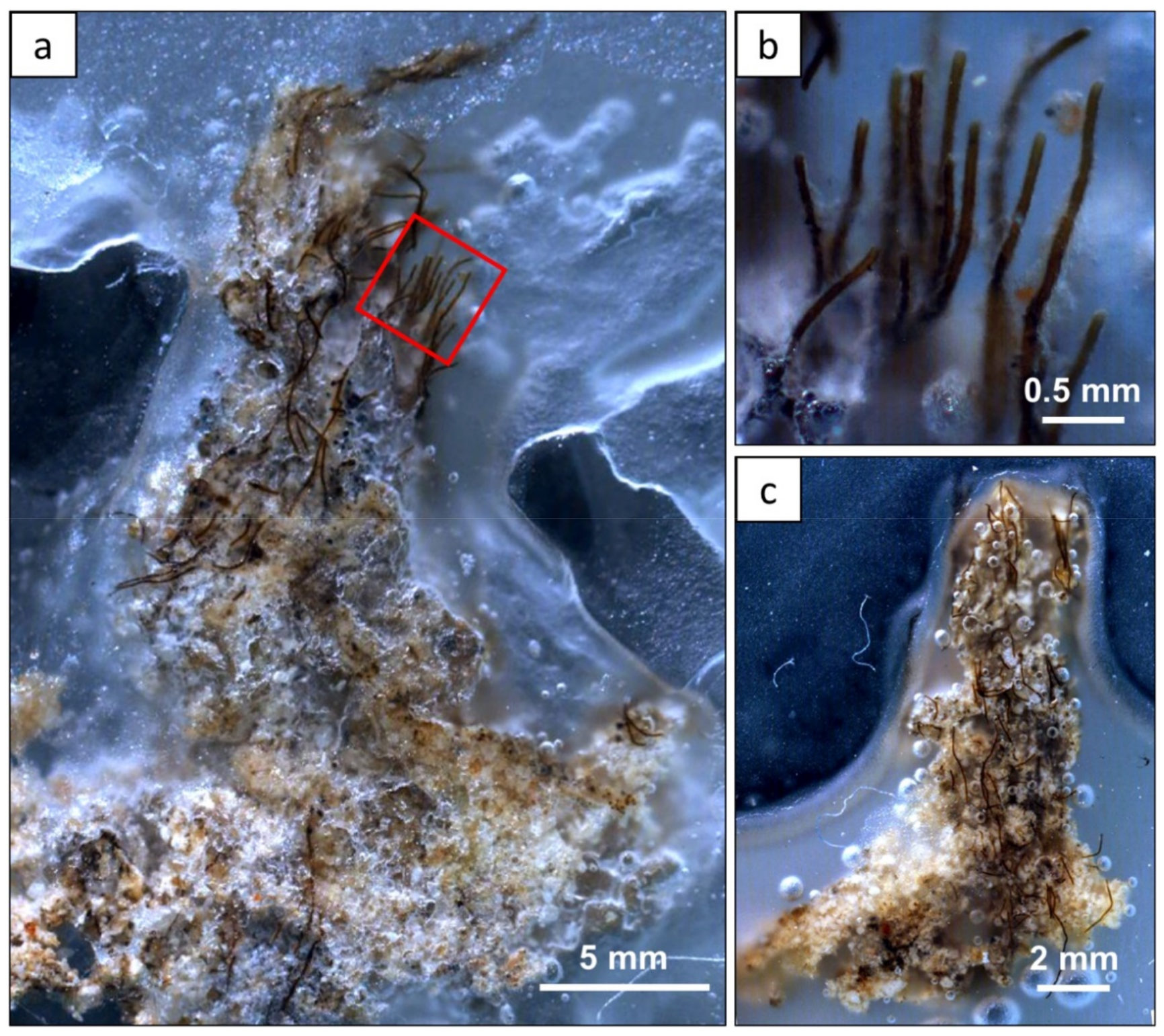 Geosciences 08 00212 g004 Geosciences 08 00212 g004
