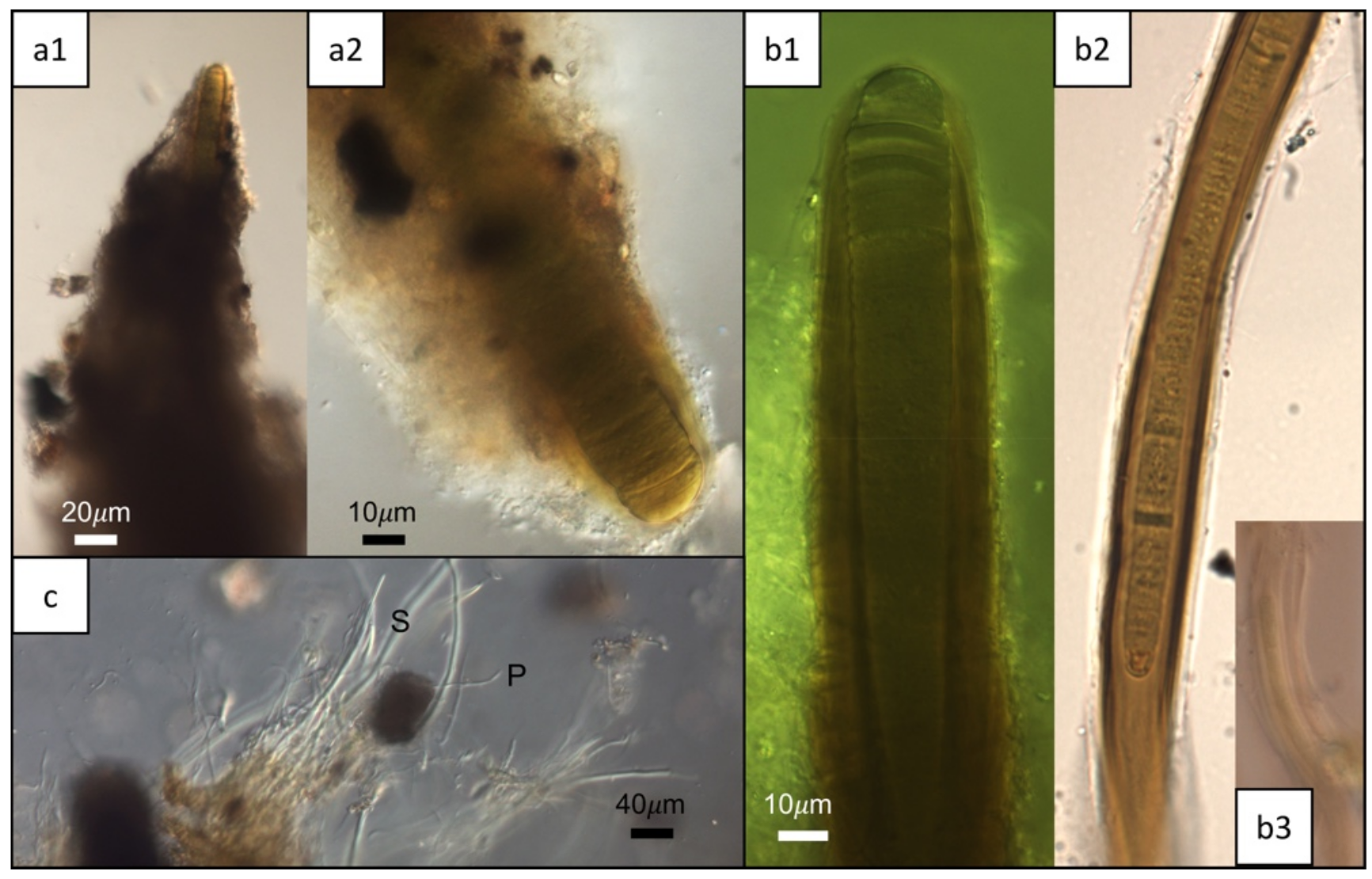Geosciences 08 00212 g005 Geosciences 08 00212 g005