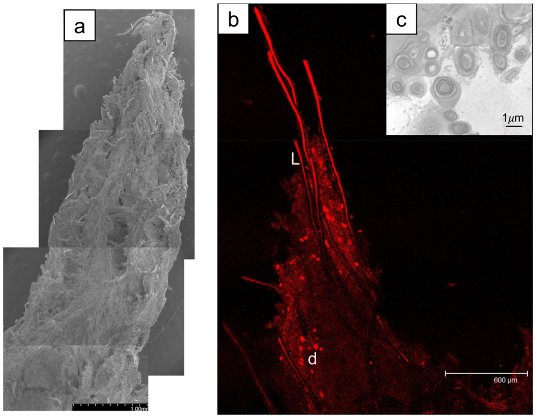 Geosciences 08 00212 g007 Geosciences 08 00212 g007