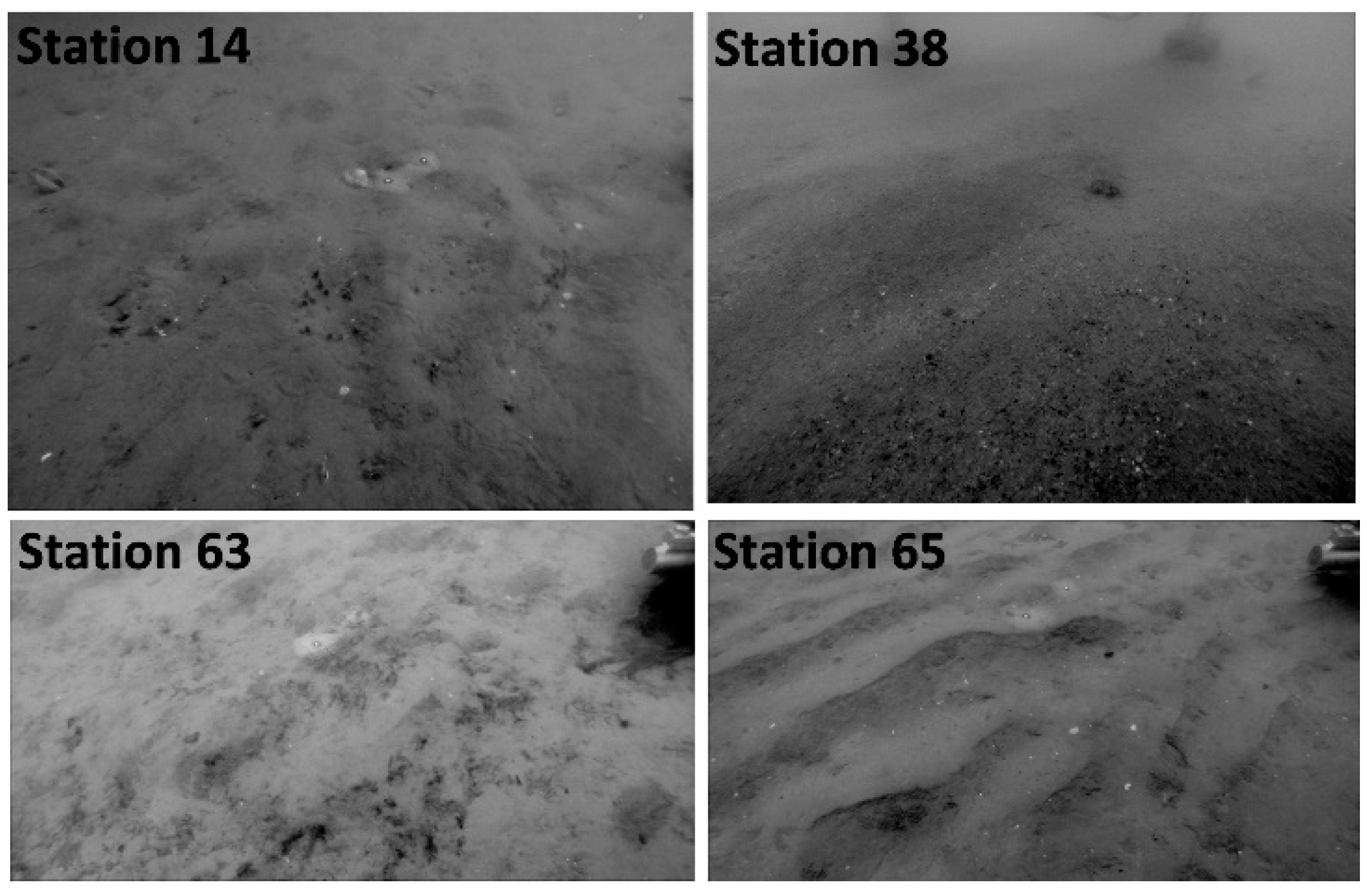 Geosciences 08 00214 g005