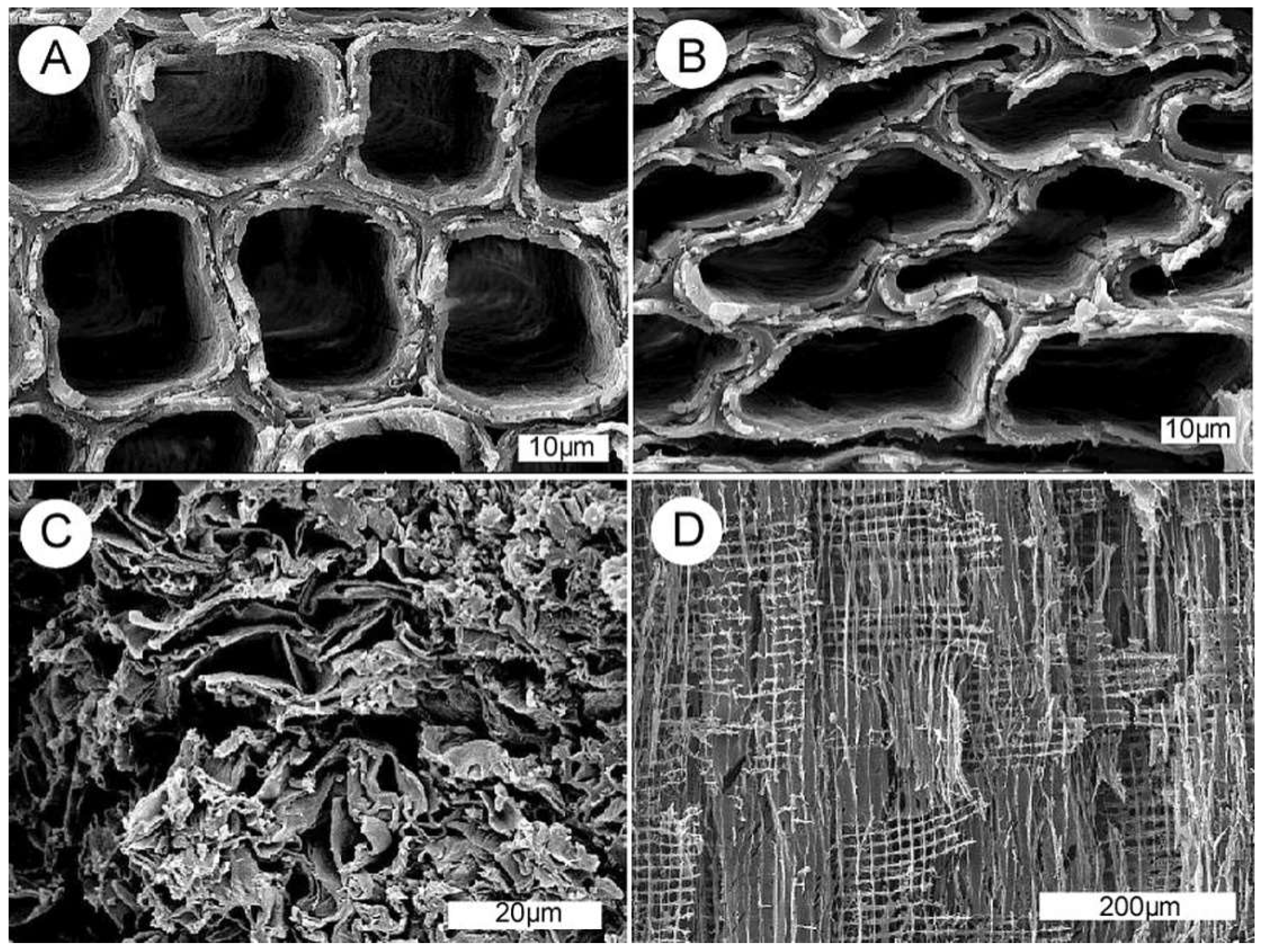 Geosciences 08 00223 g001