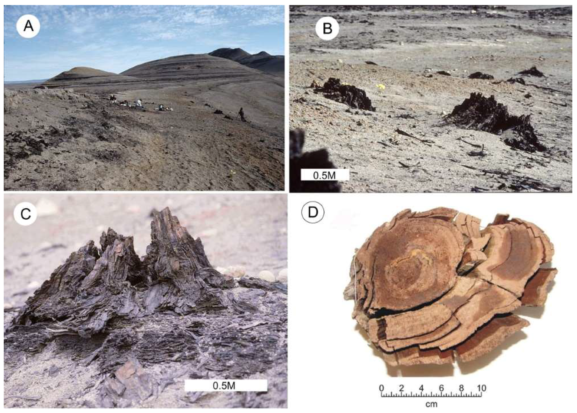 Geosciences 08 00223 g004