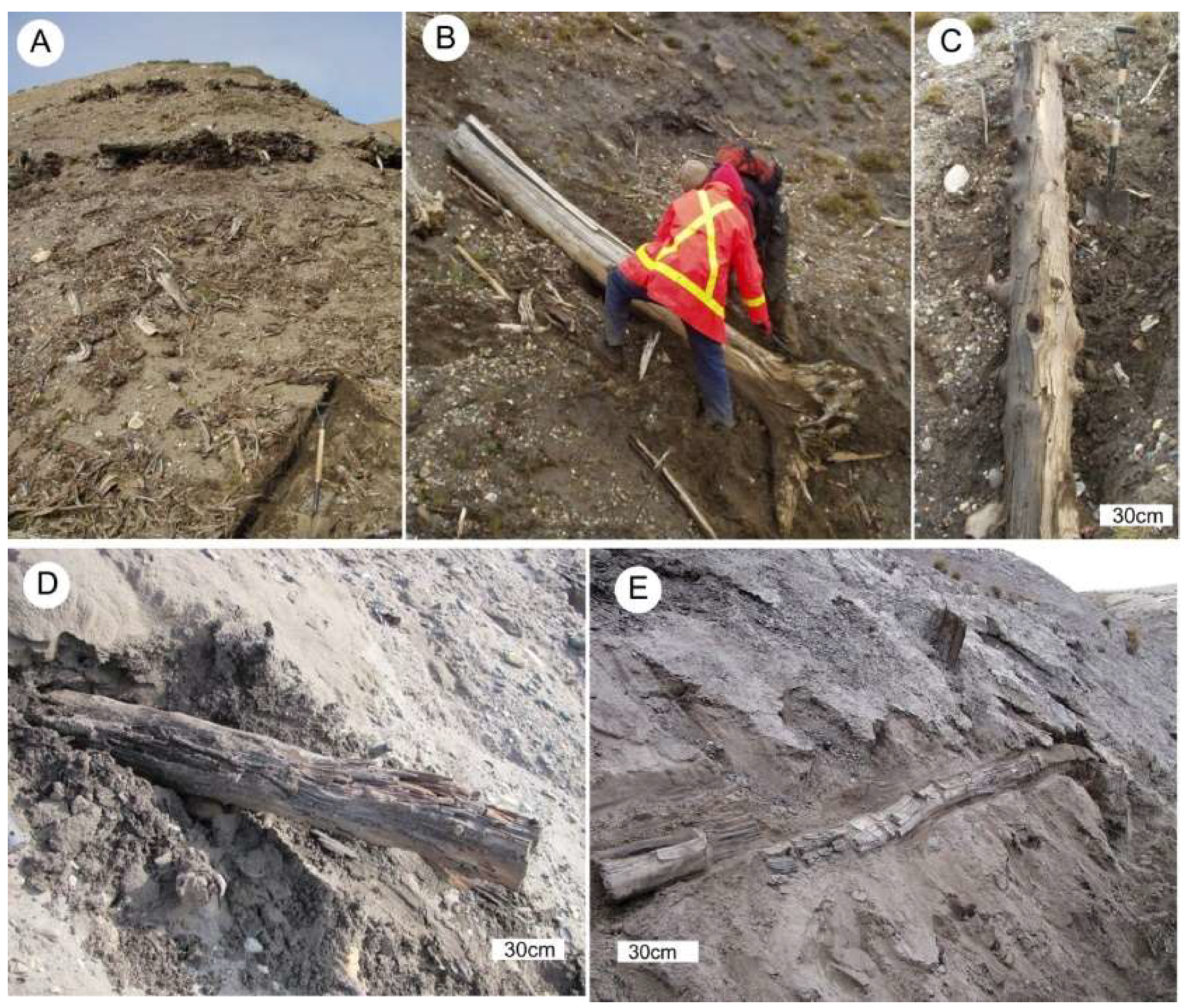 Geosciences 08 00223 g005