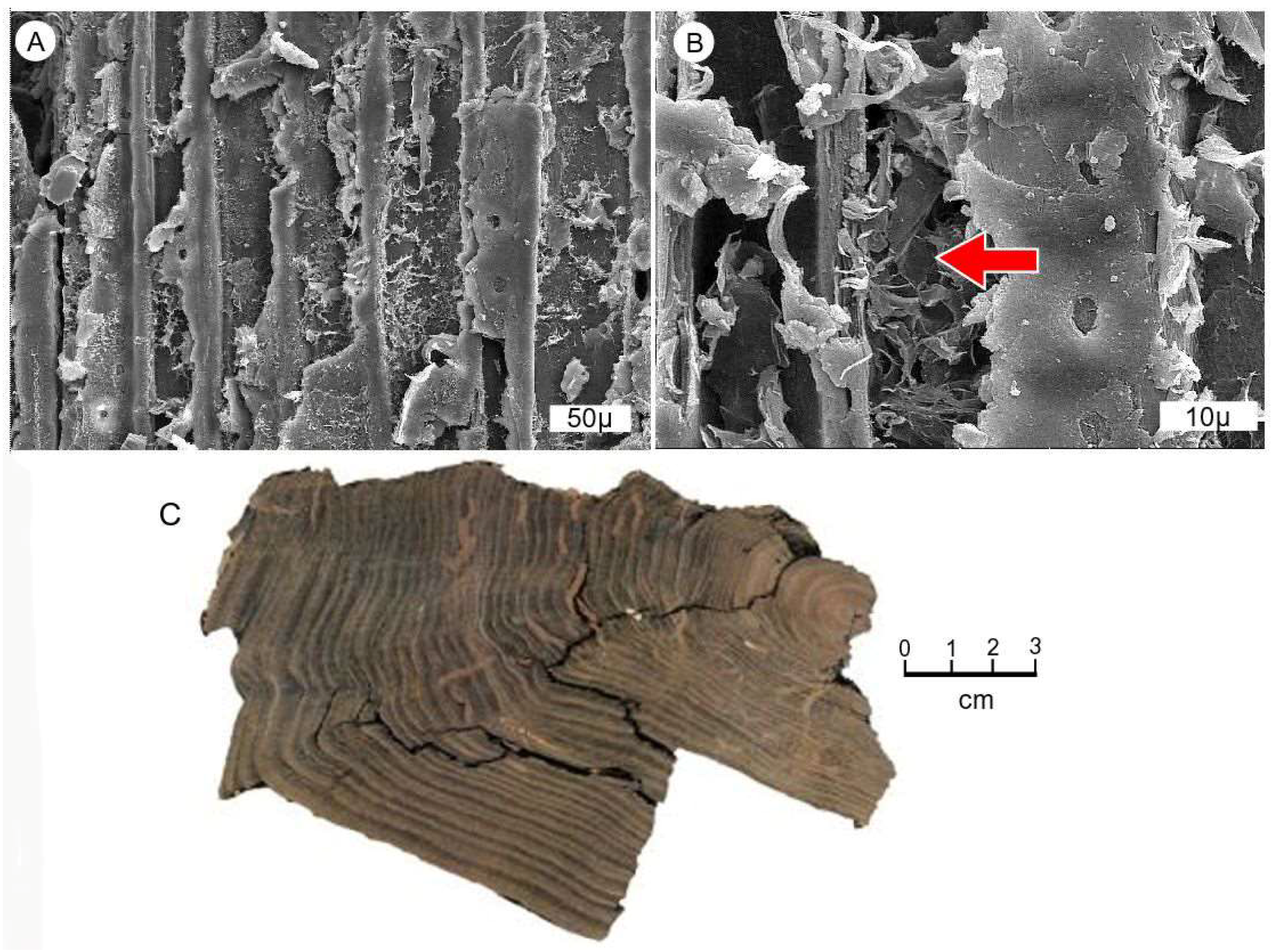 Geosciences 08 00223 g006