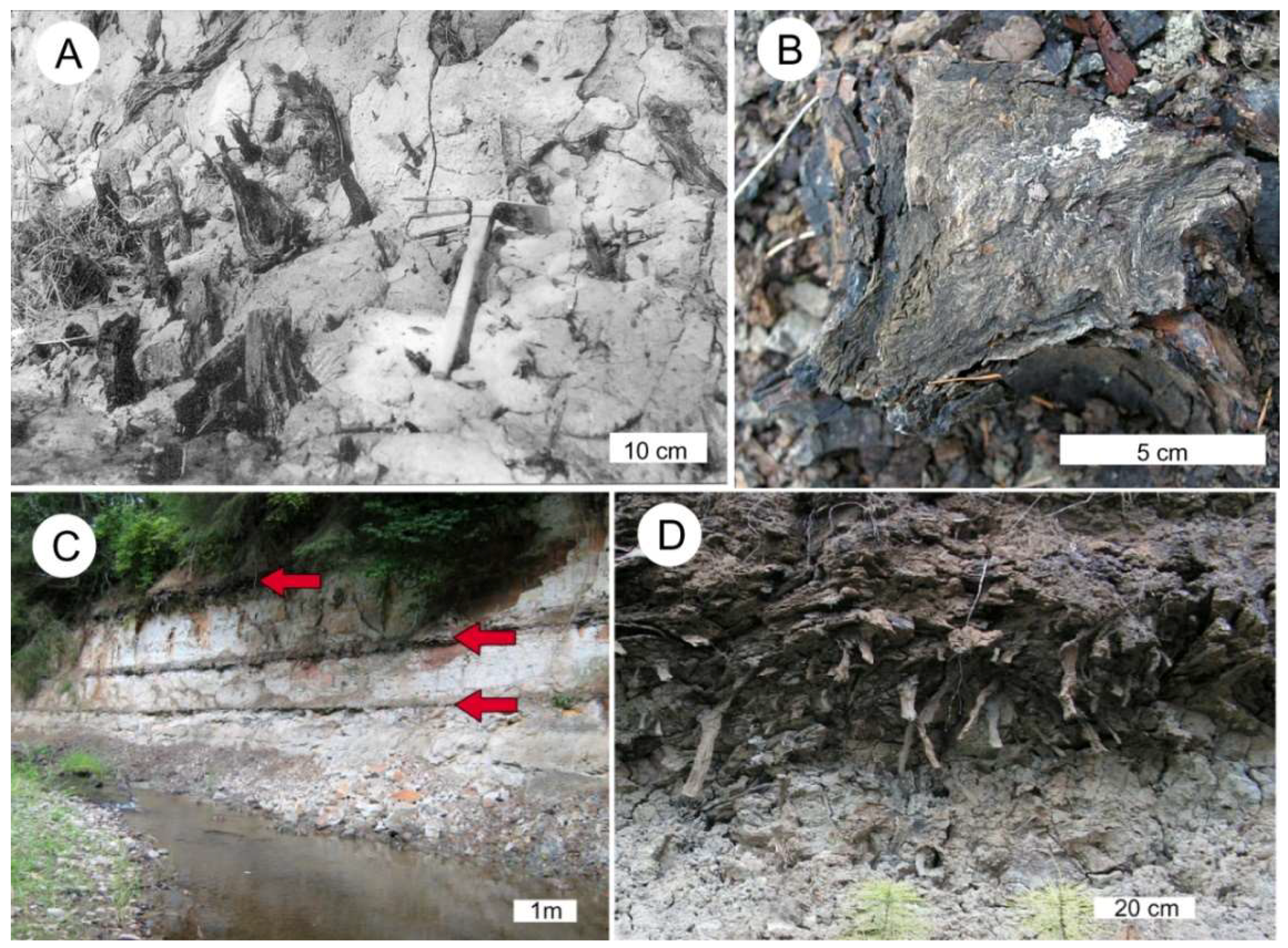 Geosciences 08 00223 g008