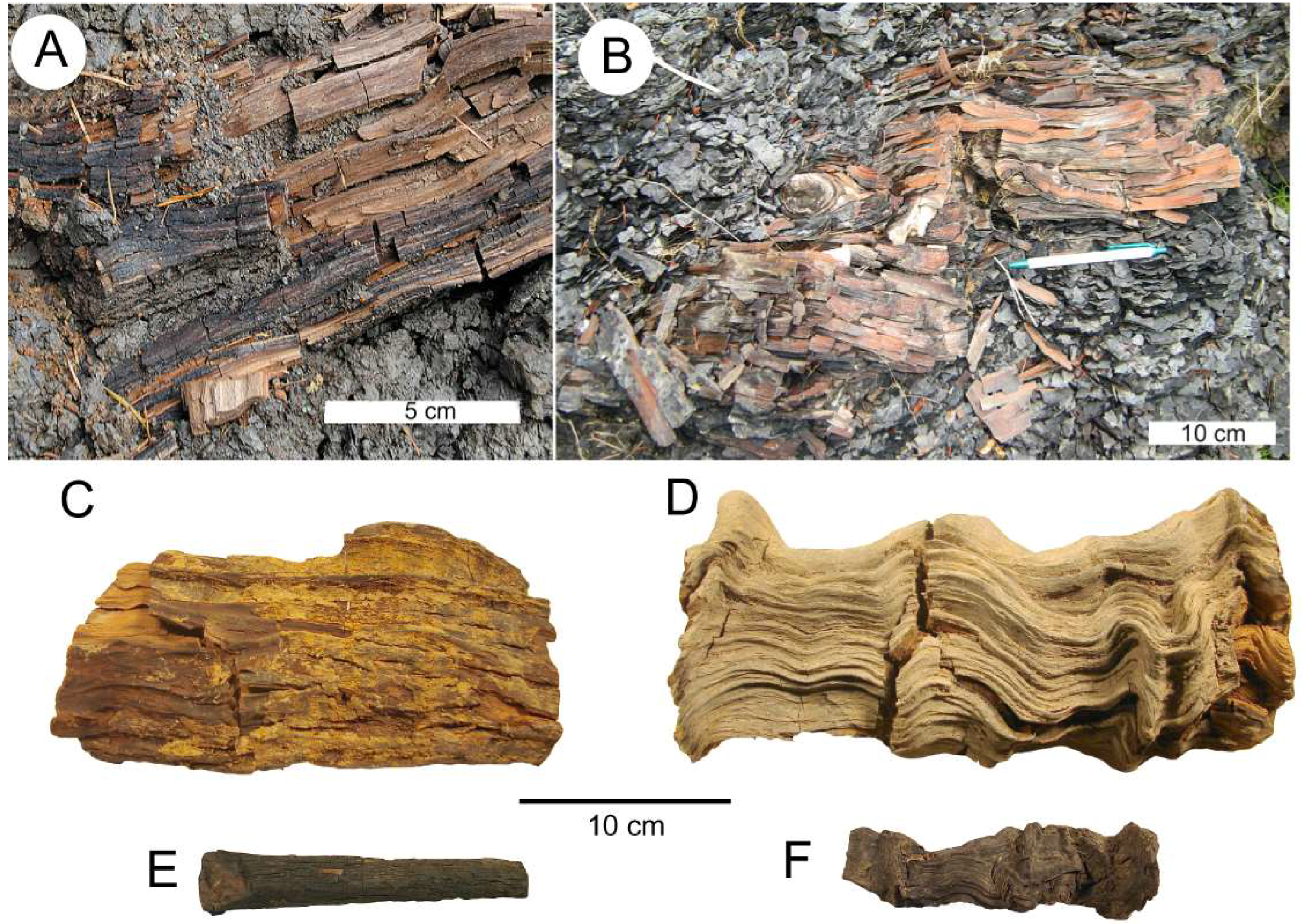 Geosciences 08 00223 g009