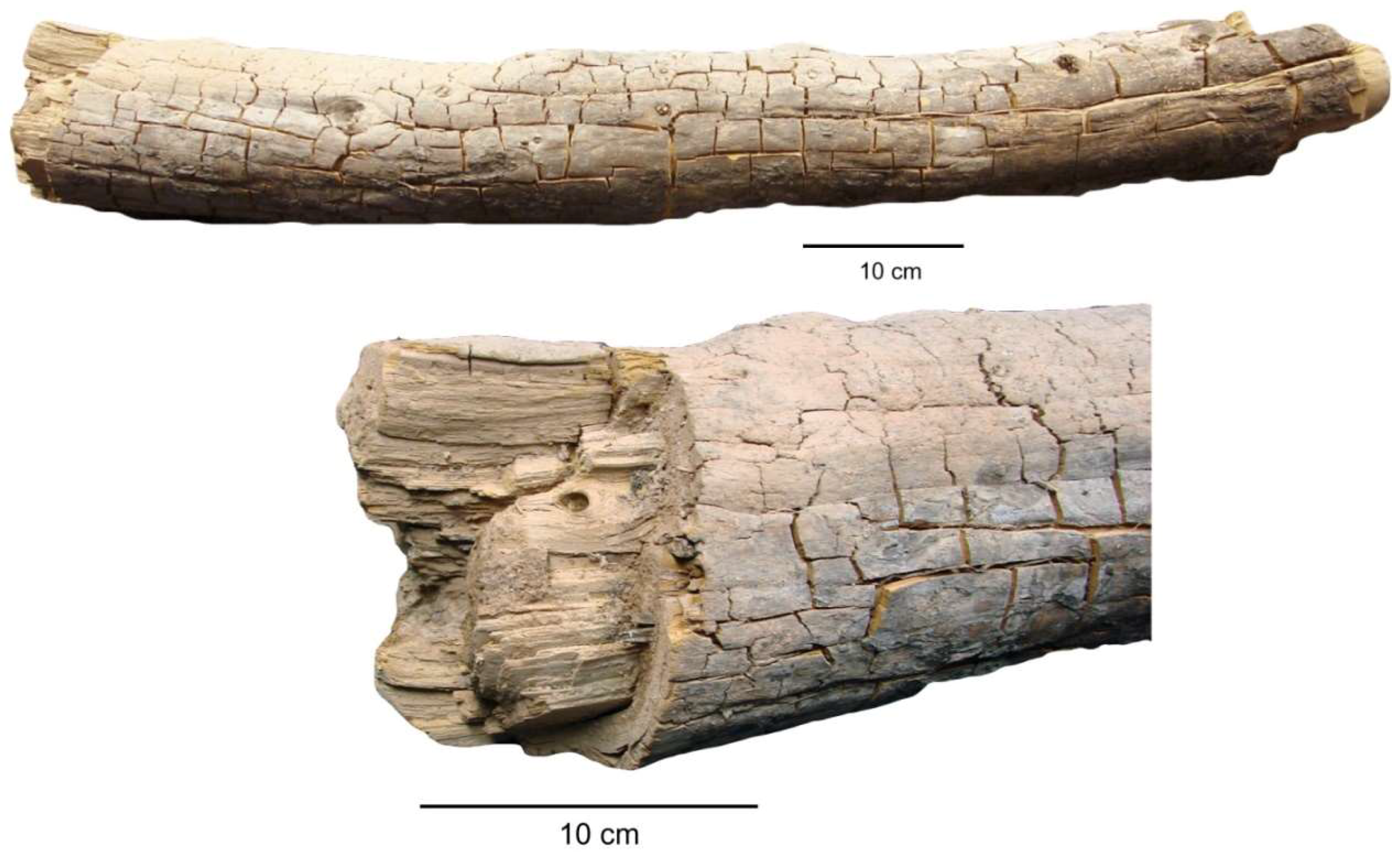 Geosciences 08 00223 g010