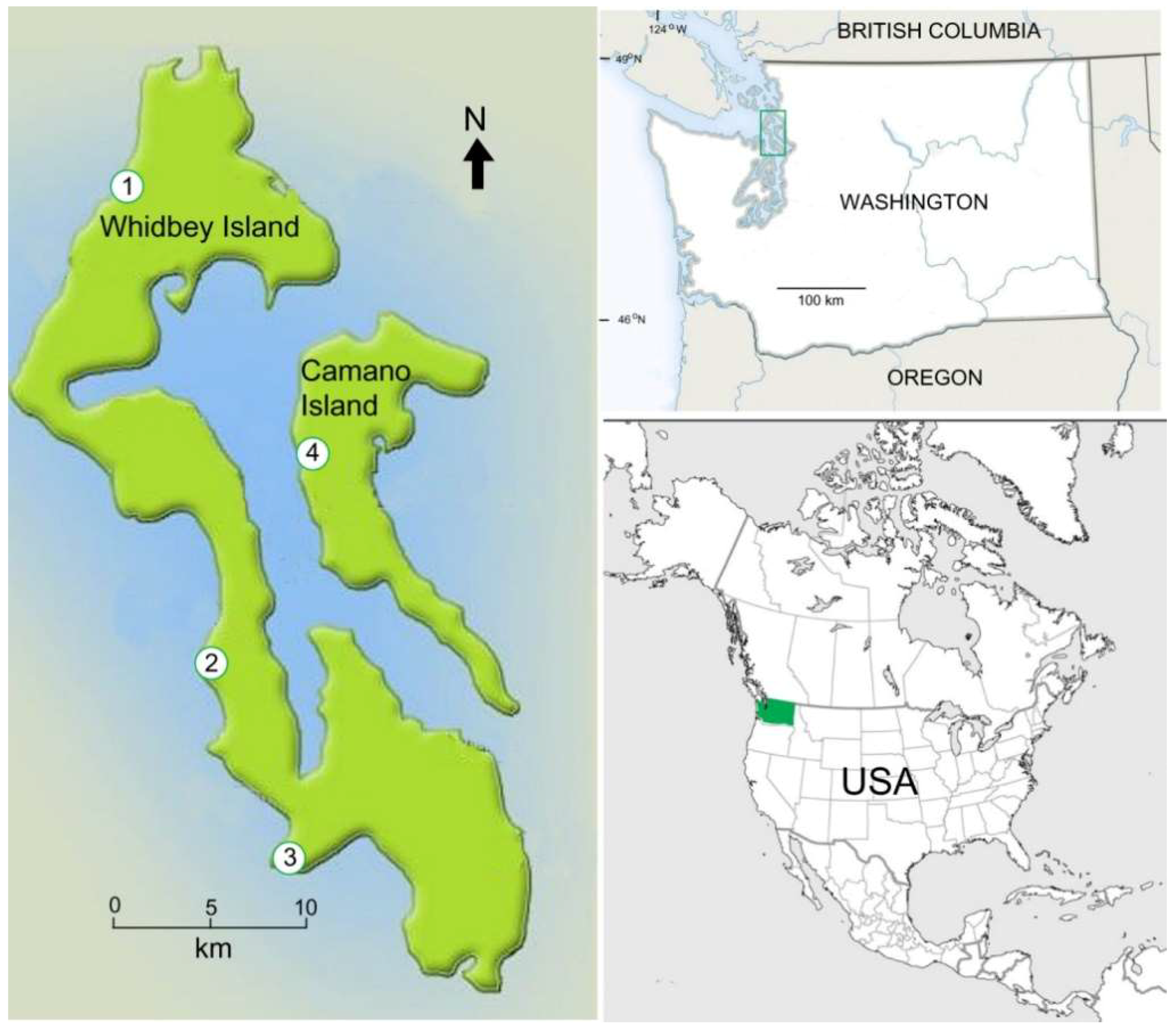 Geosciences 08 00223 g011