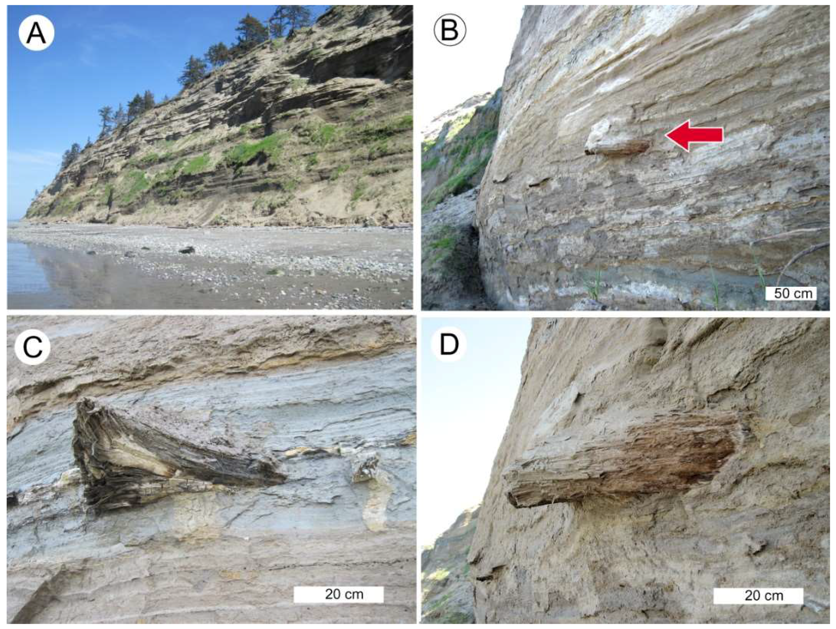 Geosciences 08 00223 g012